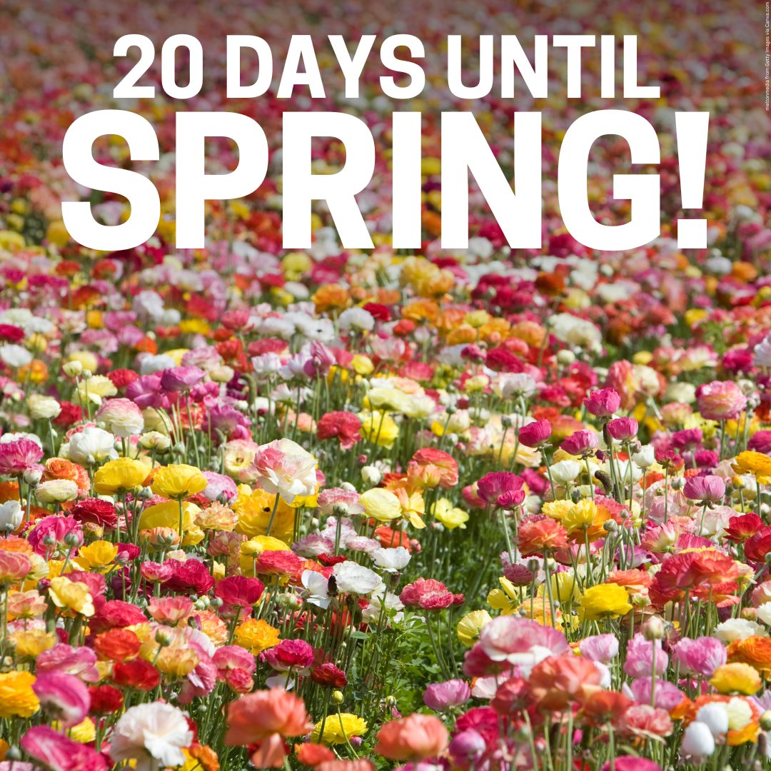 12 On Your Side - What do you like most about Spring? | Facebook