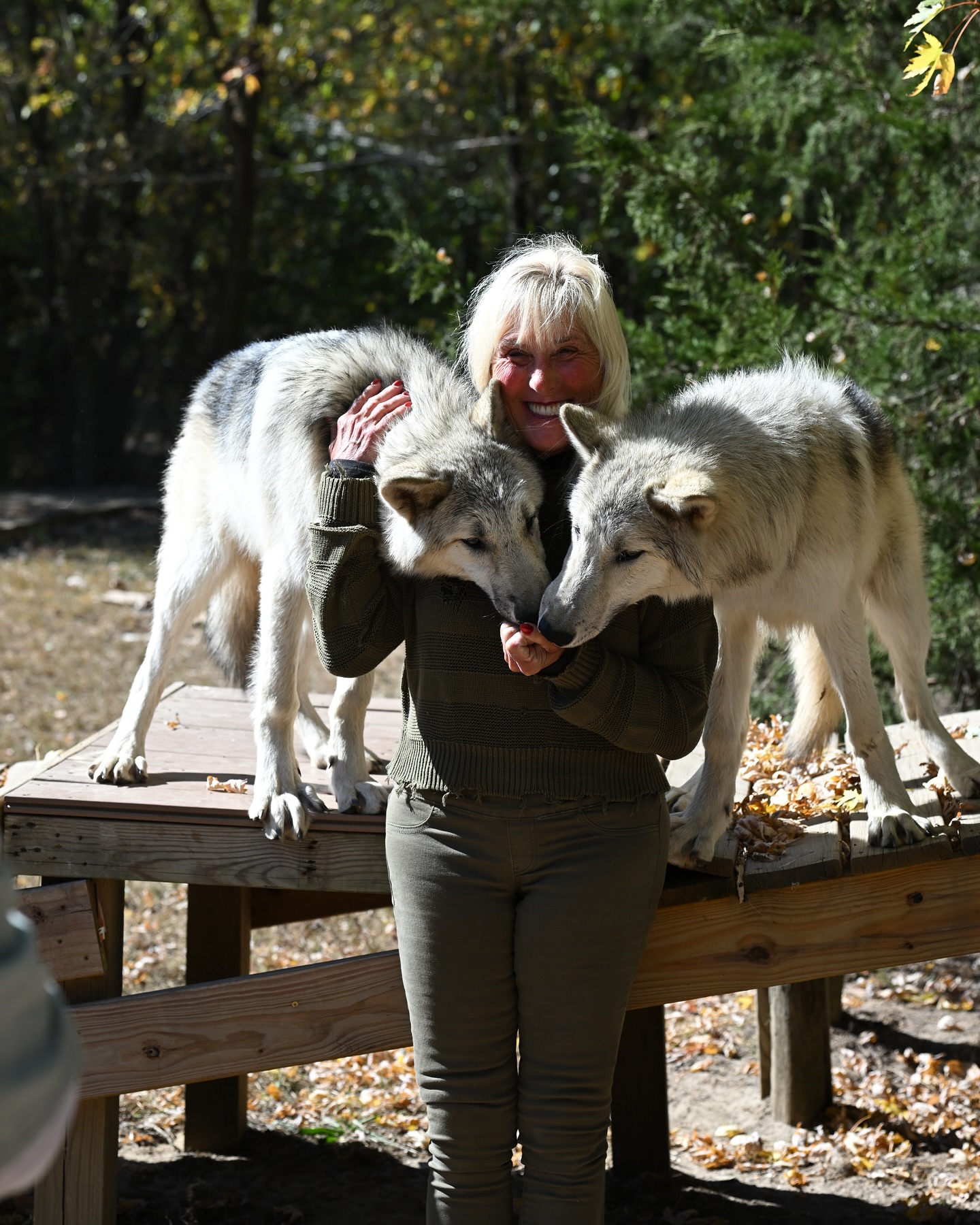 Howling Woods Farm | Jackson NJ