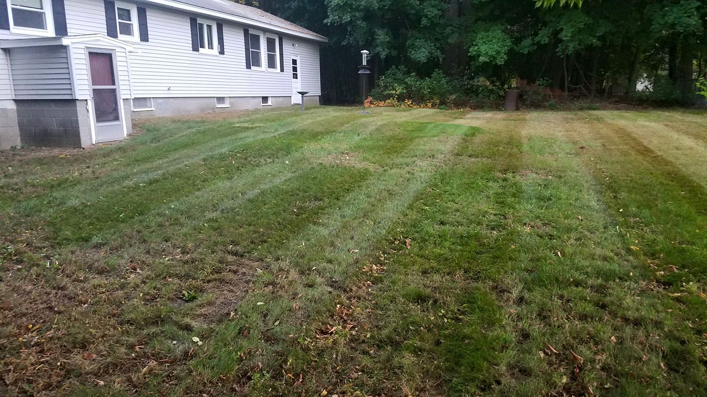 K &amp; B Landscaping | Lowell MA