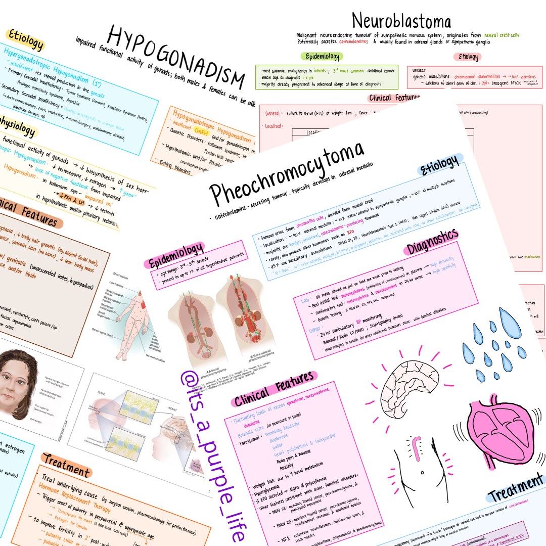 Its A Purple Life's Med Study Notes