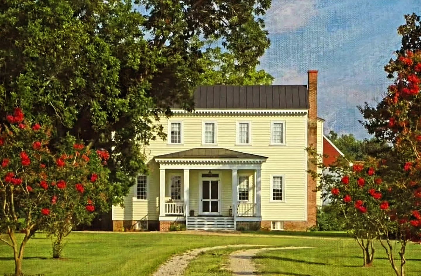 The Meadows (Battleboro, North Carolina) photo 1