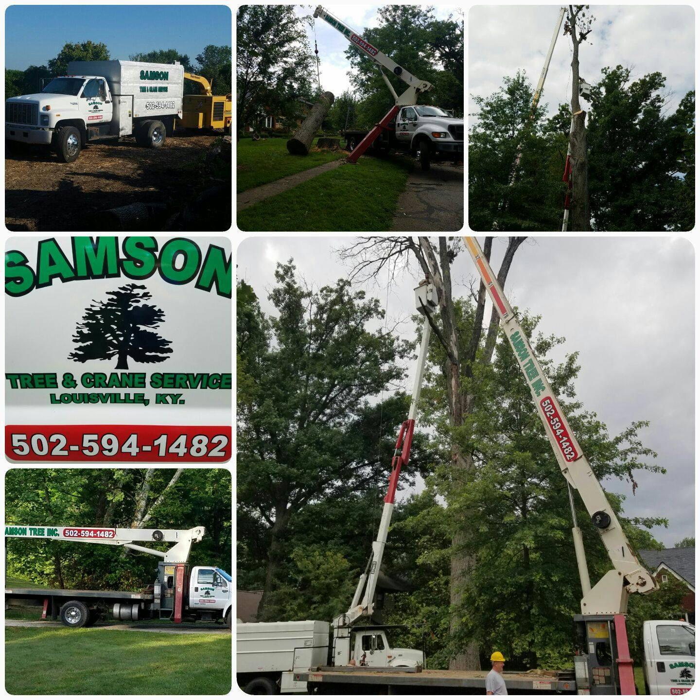 Samson Tree Service | Fairdale KY