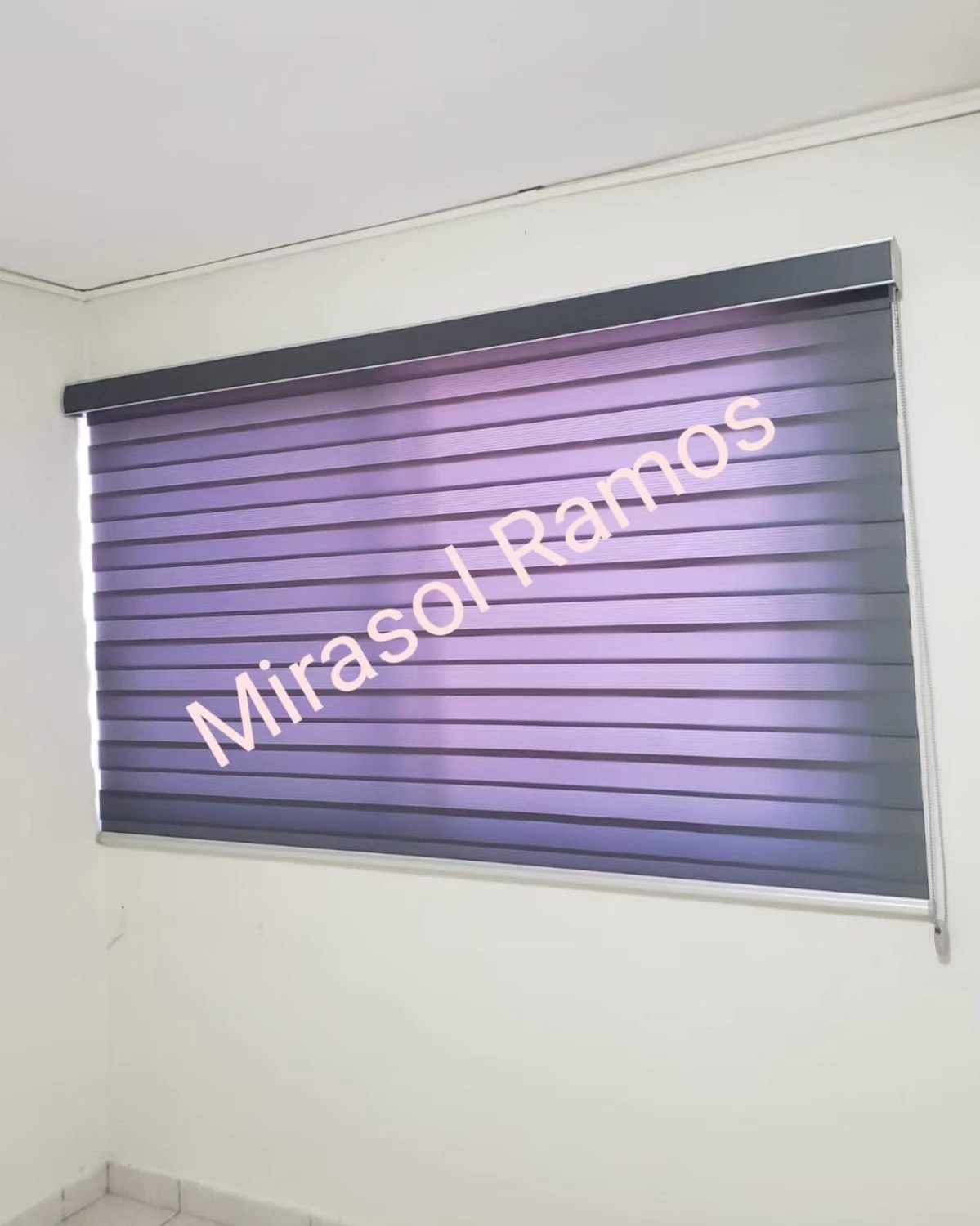 Mirasol Ramos | Culiacán
