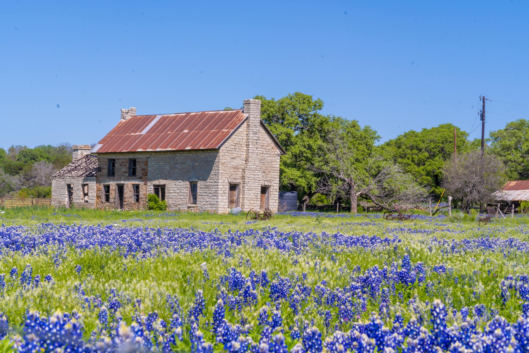 Historic Texas Hill Country House Surrounded by Bluebonnets