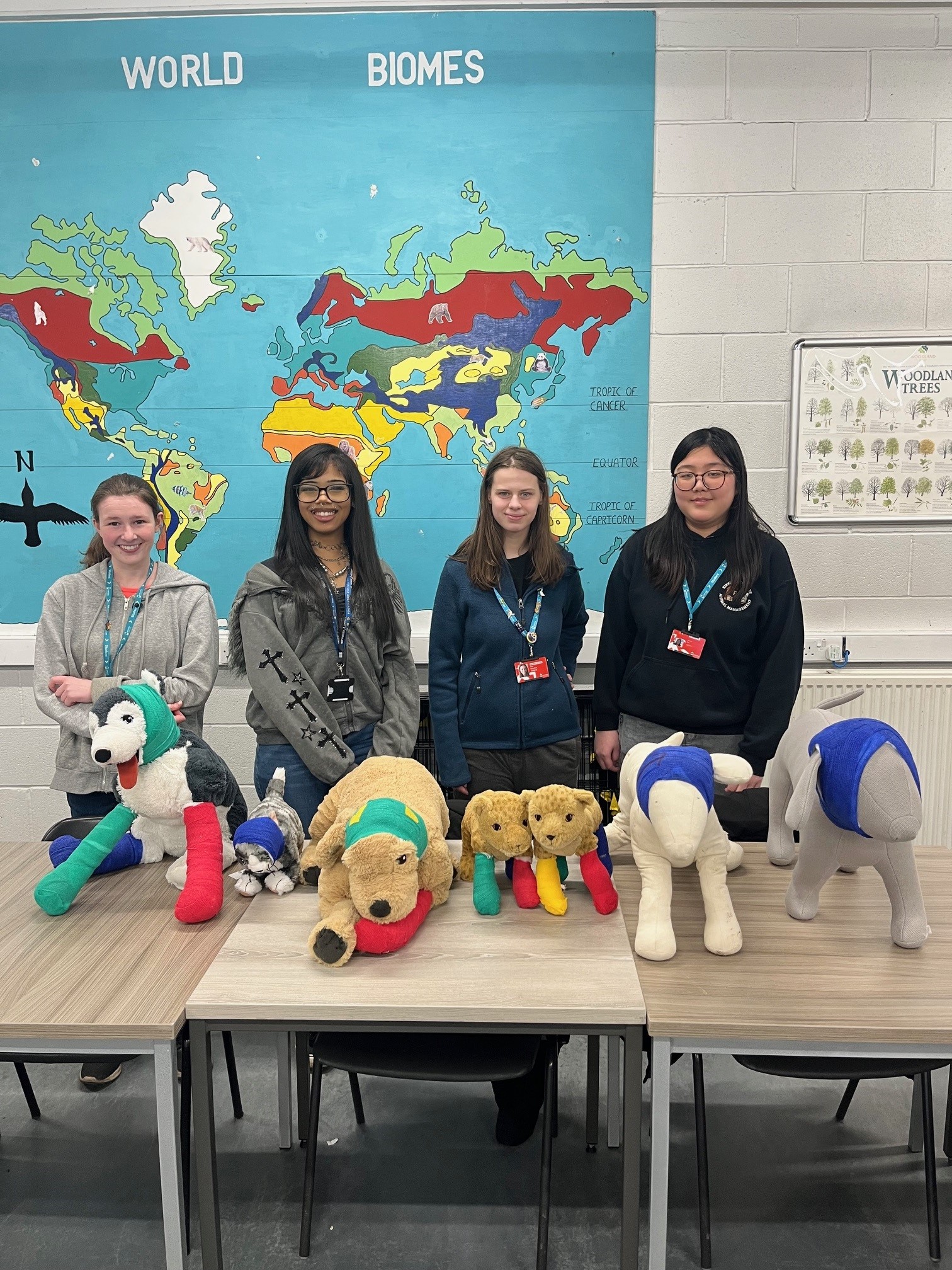 Kirklees - 🐾 Level 3 Animal Management Students Develop First Aid ...