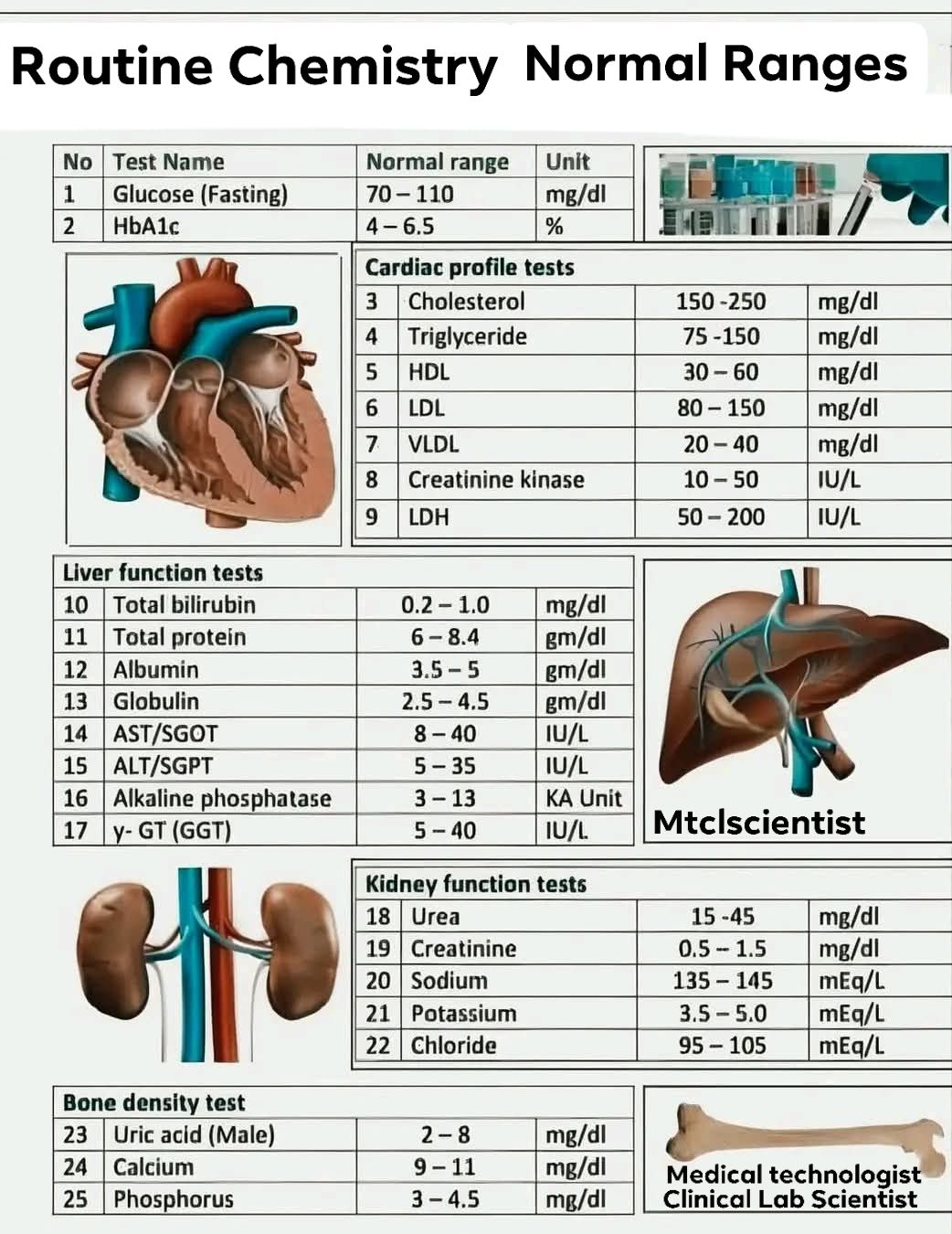 doctor's data glutathione erythrocytes normal range biochemistry test values تفتيح الكلف والتصبغات Natural supplements & multivitamins Scent:Fresh Citrus Scented