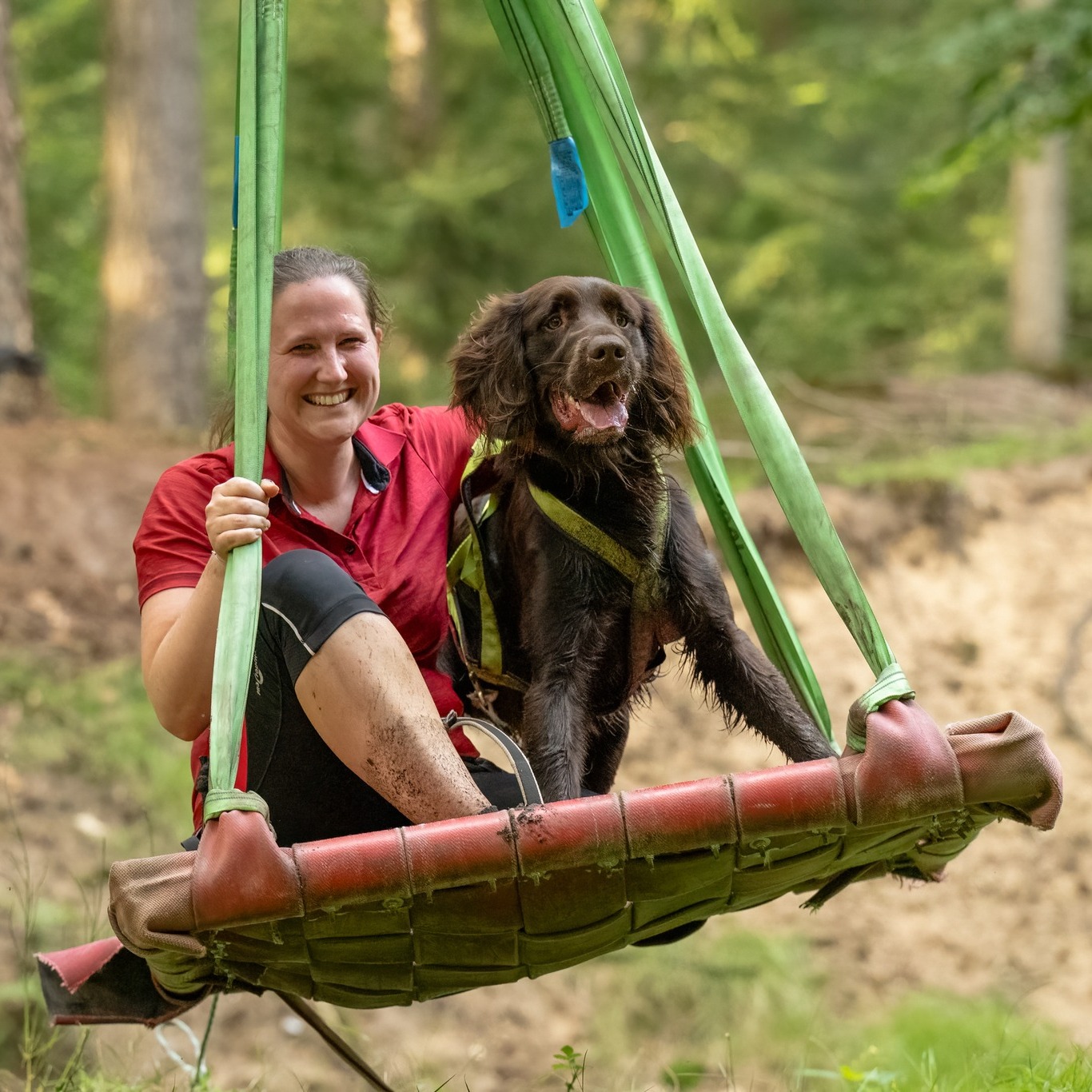 xxl hängematte test Amazonas Adventure Hammock Radsport-Fitness: So gesund ist _mechanic_archive_check_1784612909 Farbe:Gloss Agave Grau / Oak Green Metallic
