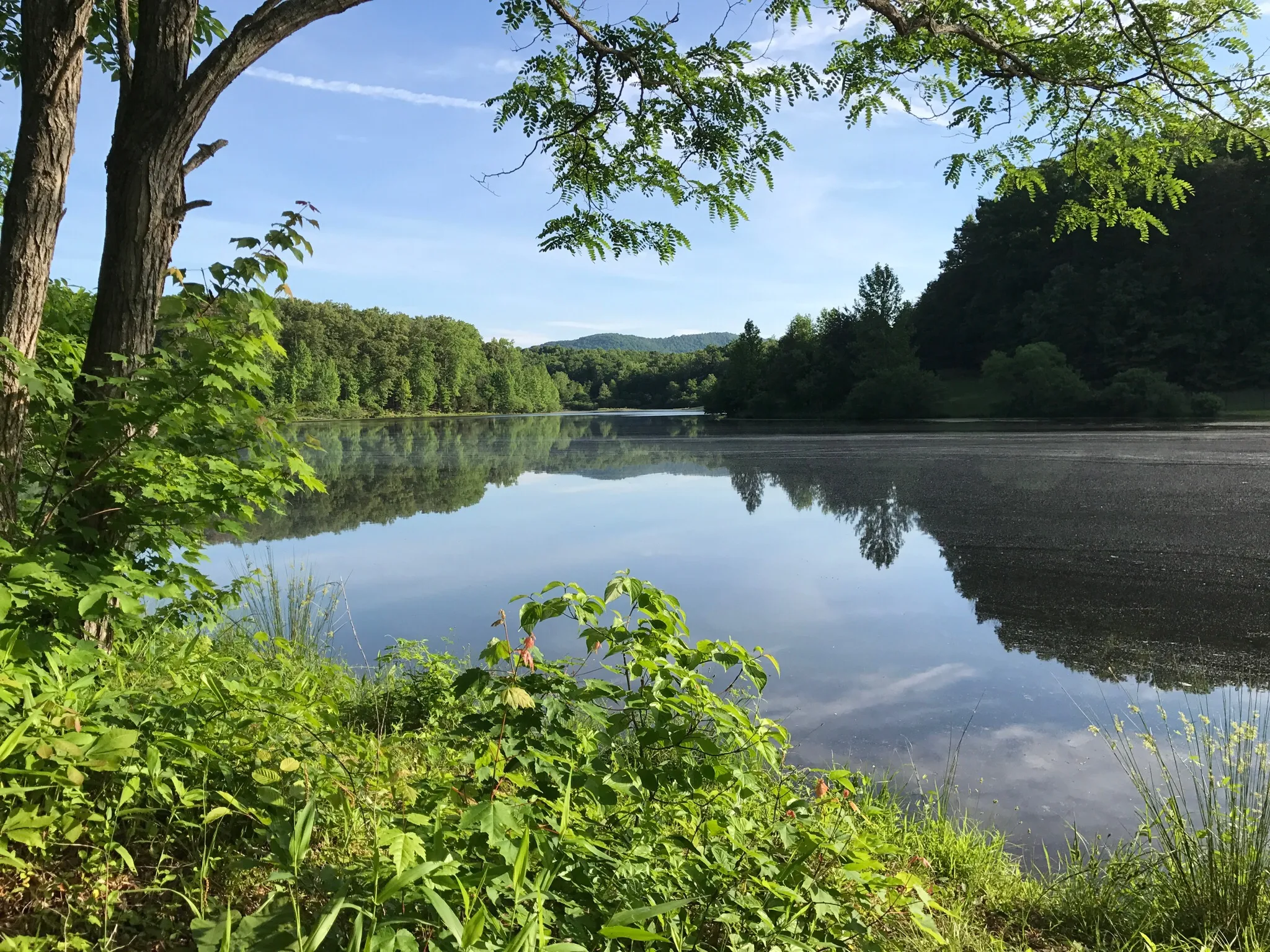 The Gaia Gathering of the Blue Ridge, VA
