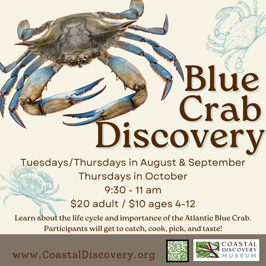 Our Blue Crab Discovery program... - Coastal Discovery Museum | Facebook