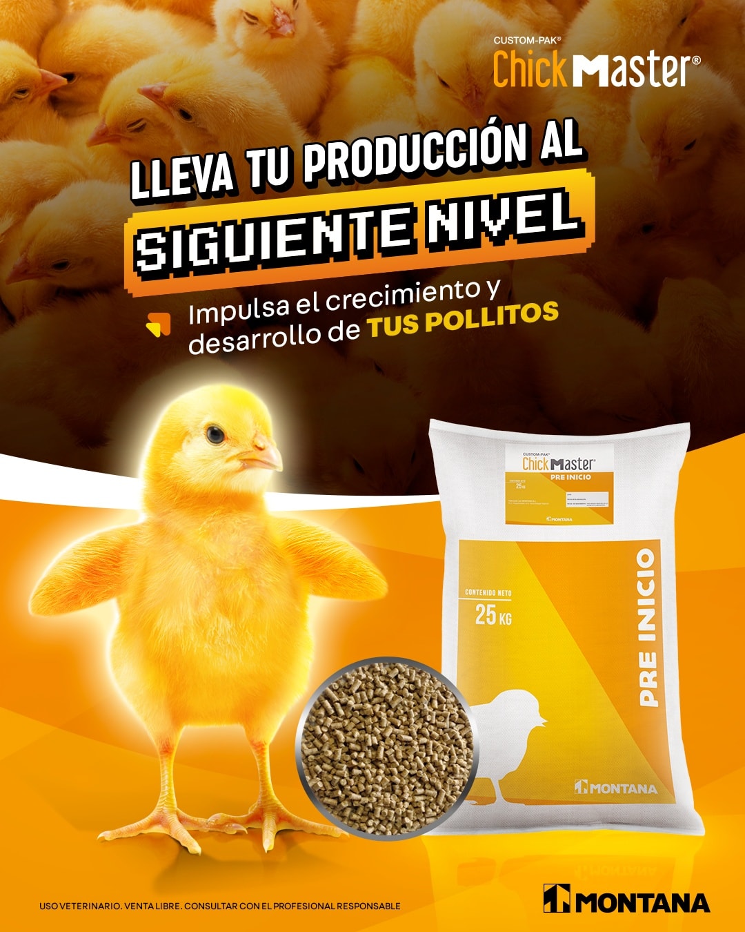 Montana - 🐣 ¡Impulsa el crecimiento de tus pollitos desde el primer día ...