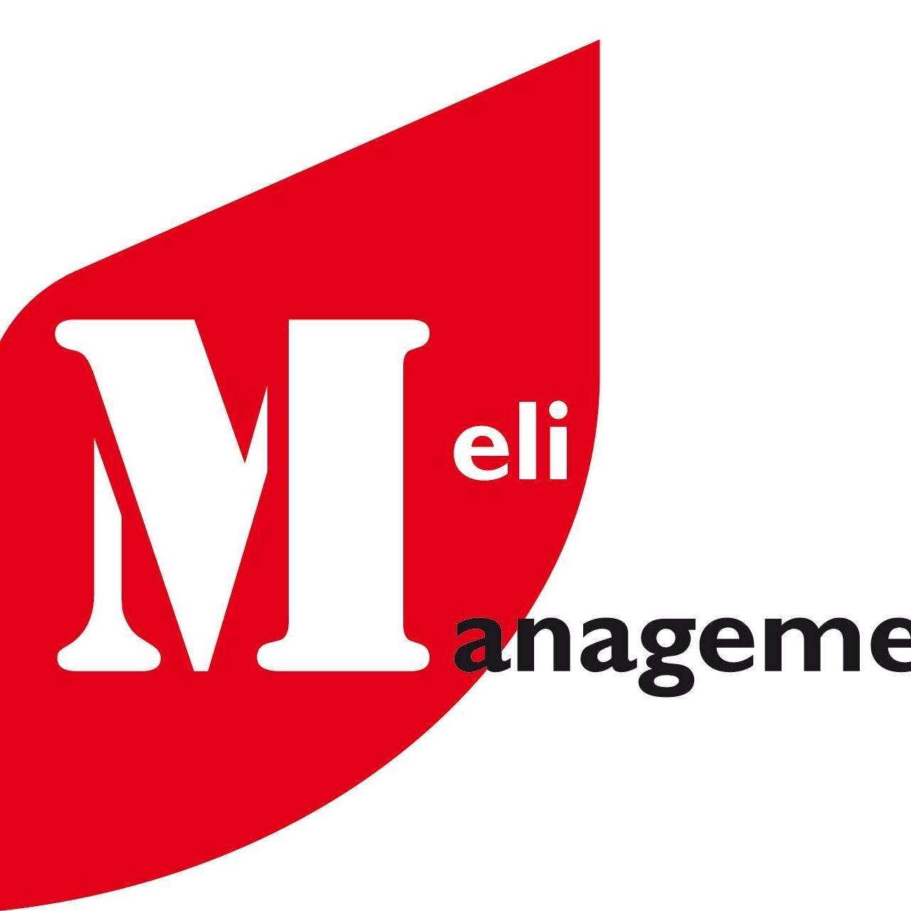 Meli Metal Melv Shop Pages Directory