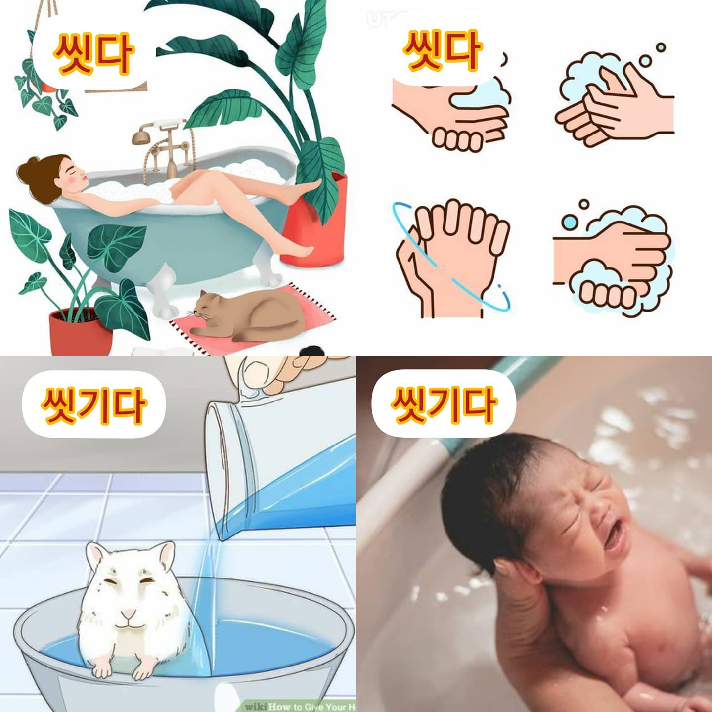#씻다 #wash #씻기다... - 韓趣堂 Korean Fun, fun Korean study 한국홍콩꿀잼집