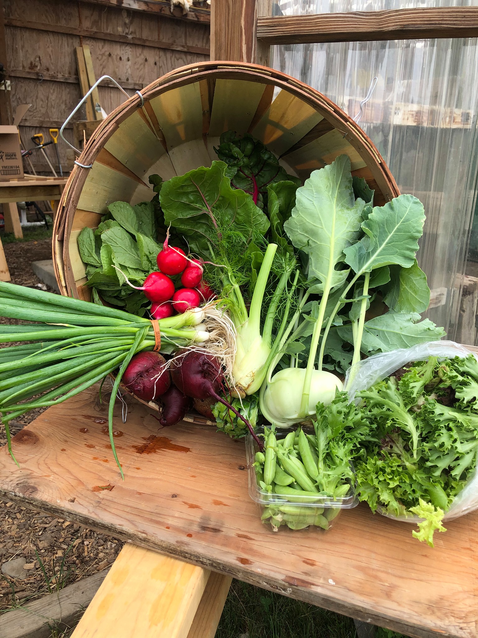 Breadseed Farm | Craftsbury VT