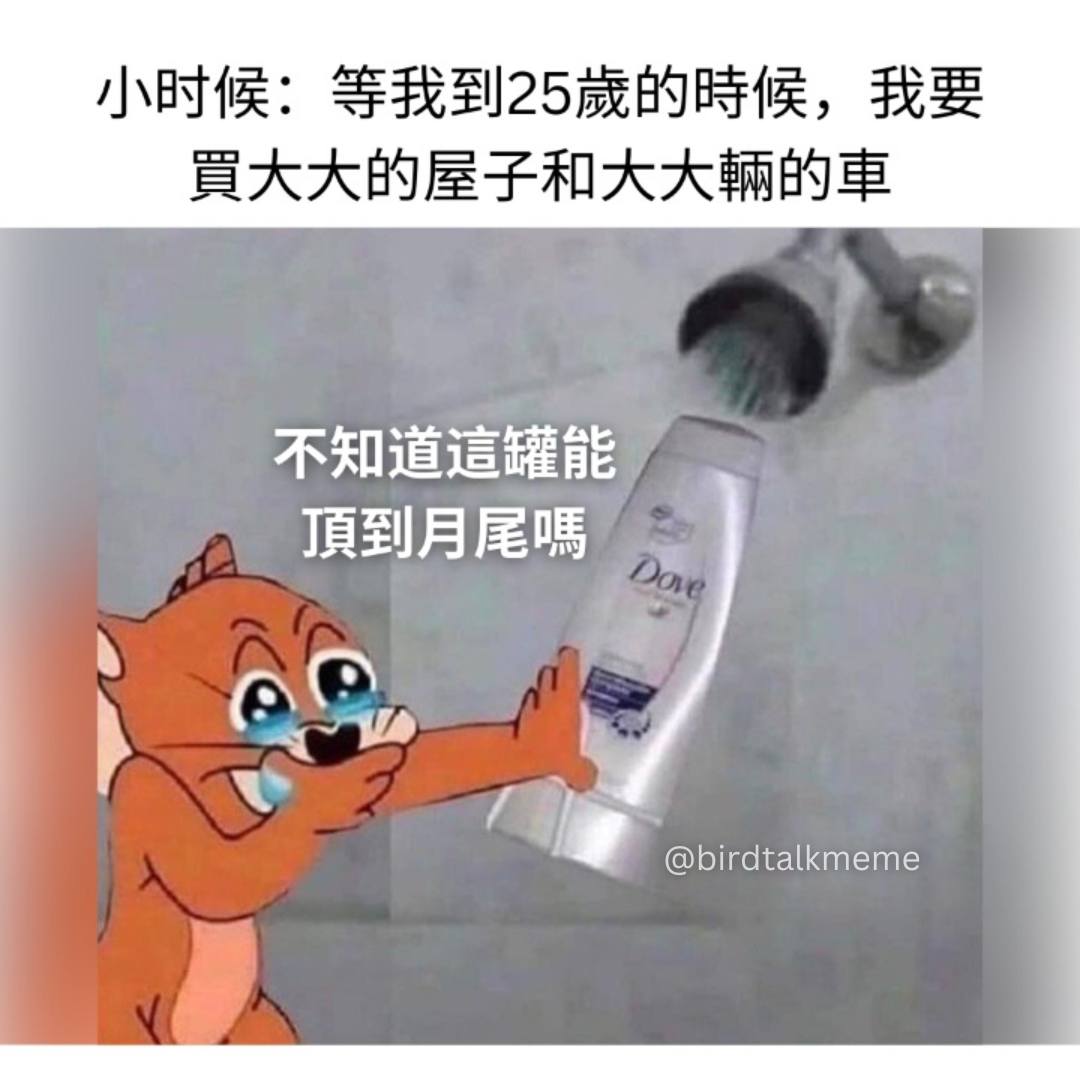 讲鸟话迷迷 - 現實很骨感 . IG: birdtalkmeme . . #梗 #梗圖 #梗图 #梗圖系列 #梗图系列 #梗圖大全 #梗圖推推 ...