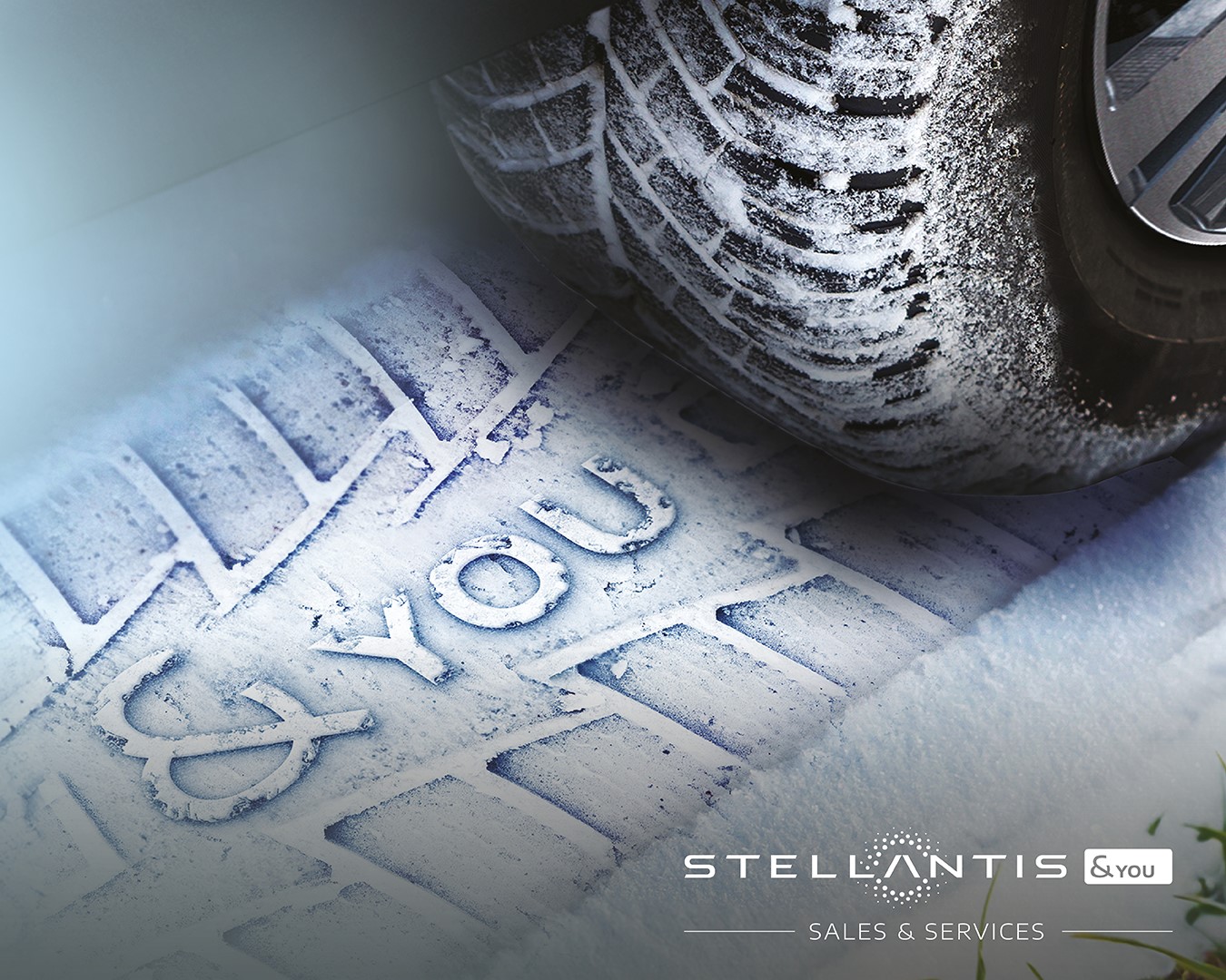 Stellantis And You Kln