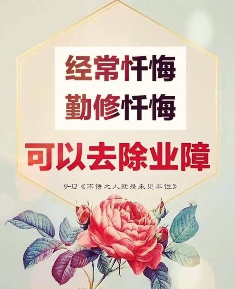 蒙特利尔观音堂 - 杀业果报真是重，身心饱受诸病痛；幸遇恩师谆谆教，念经忏悔把业消；慈航妙手洒甘露，多年病痛一扫光 感恩南无释迦牟尼佛！ 感恩 ...