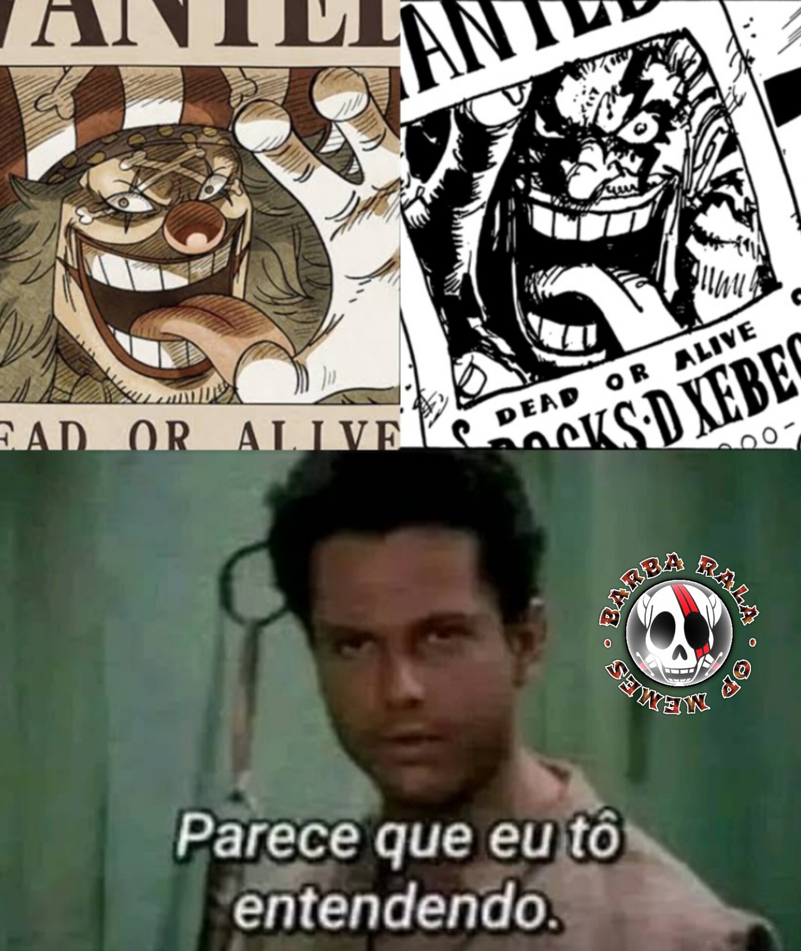 Barba Rala | Peruíbe SP