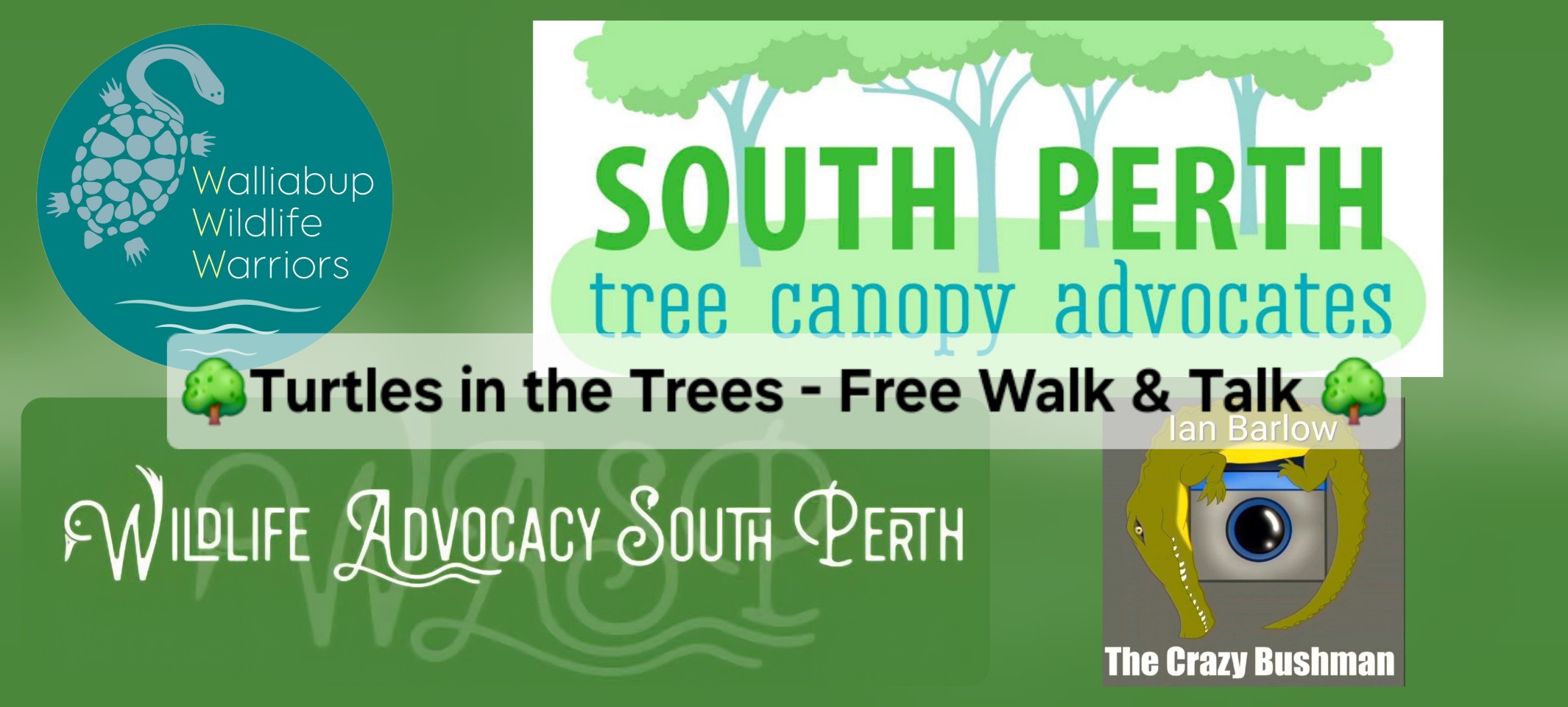 🌳Turtles in the Trees - Free Walk & Talk 🌳