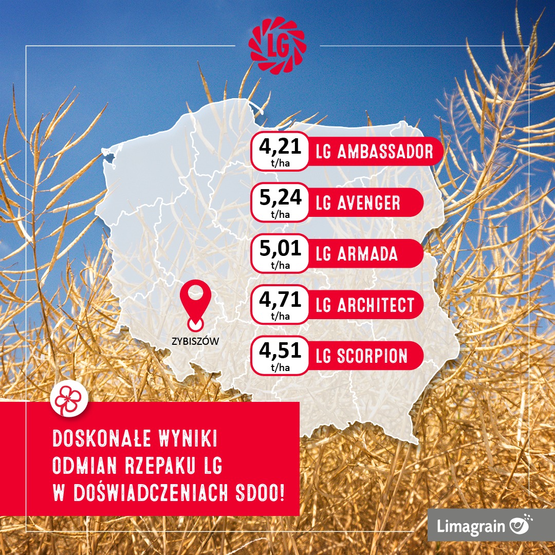 LG Seeds Polska - LG Seeds Polska added a new photo.