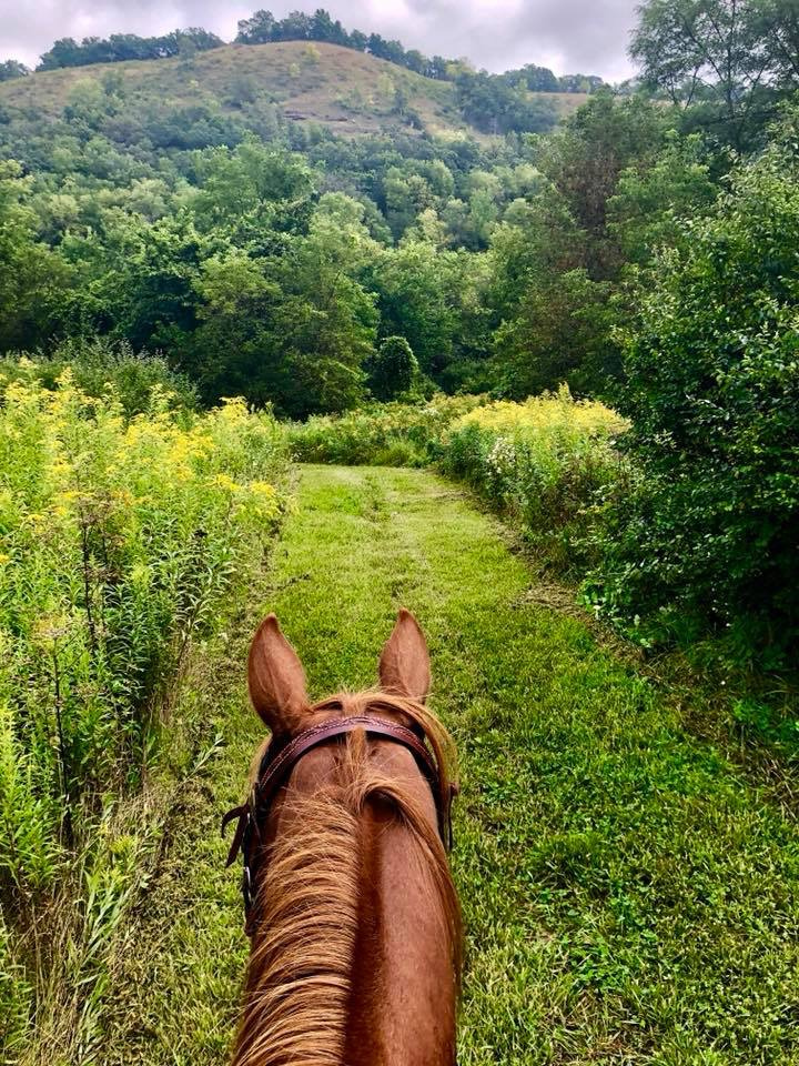 Outback Ranch Inc. | Houston MN