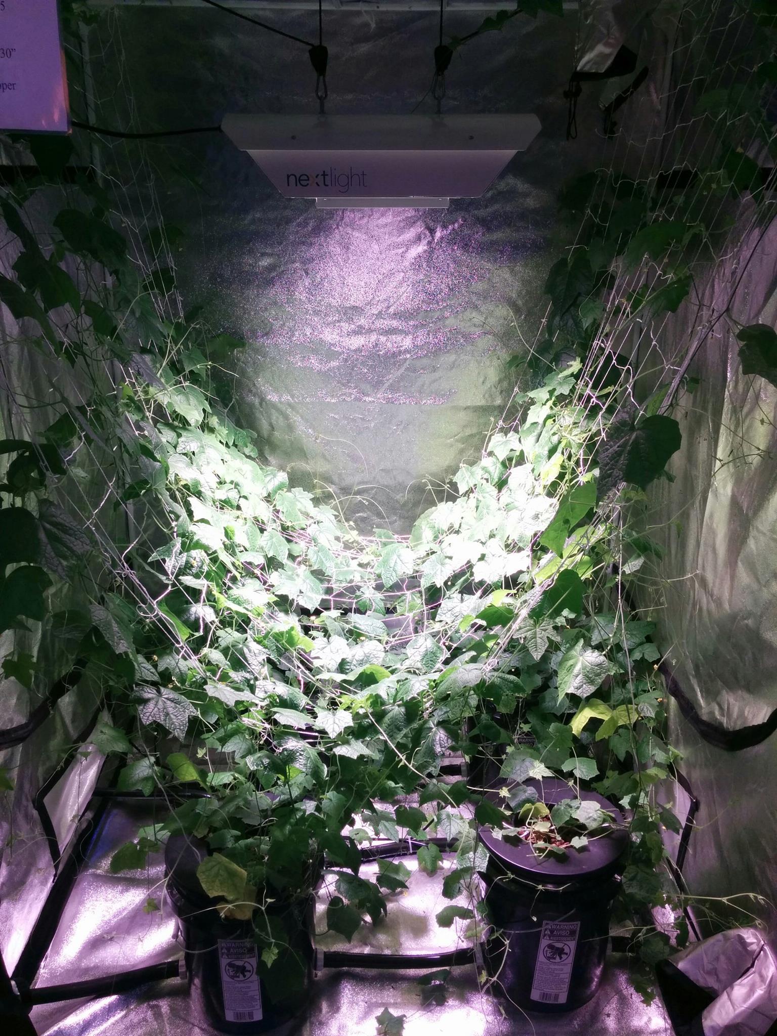 Original Grow Depot | Three Rivers MI