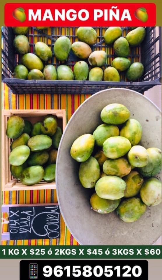 Productos Belén Del Corazón De Chiapas - 🎶🎵EEEEL #MangoPiña LLEGOOOO ...