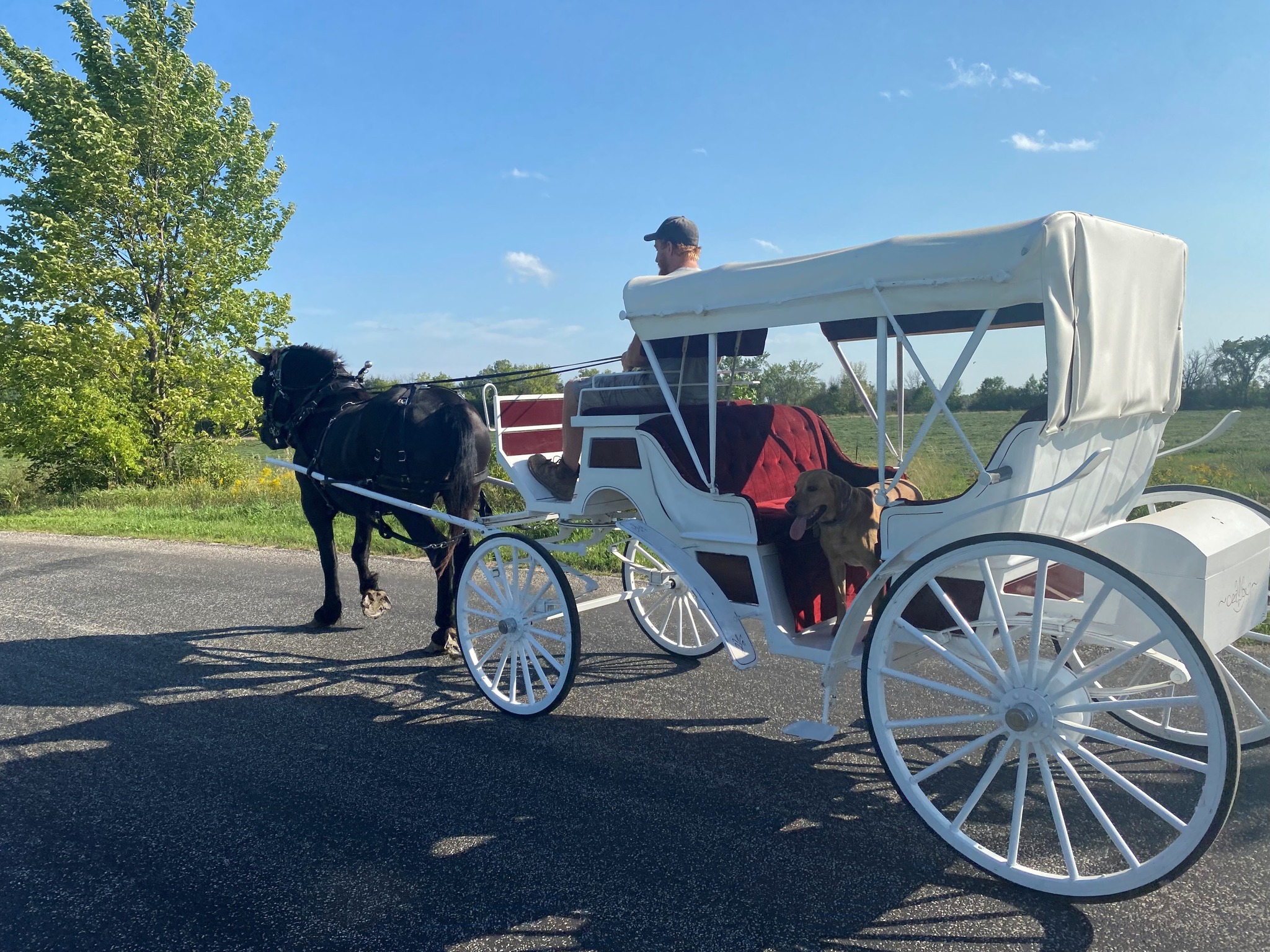 Grahl's Twin Maple Ranch | Fond du Lac WI