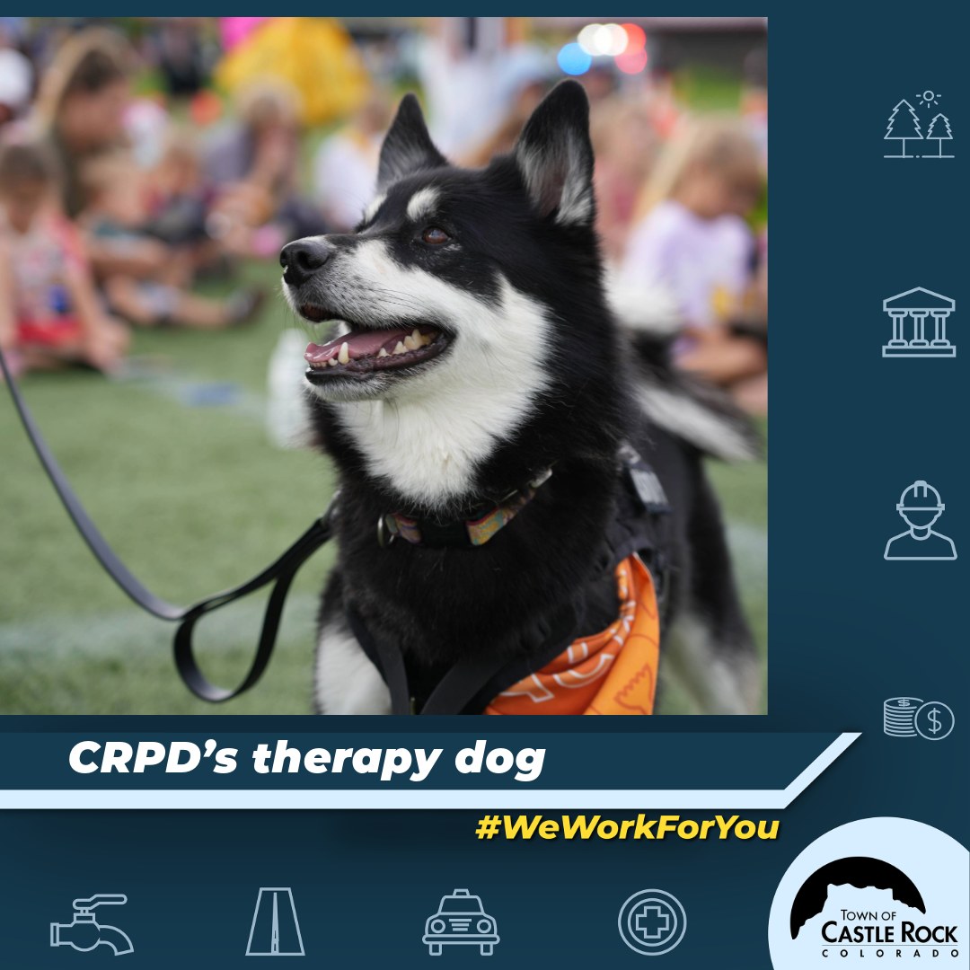 Town - 🐾 Meet Rocket, Castle Rock Police Department’s four-legged, tail ...