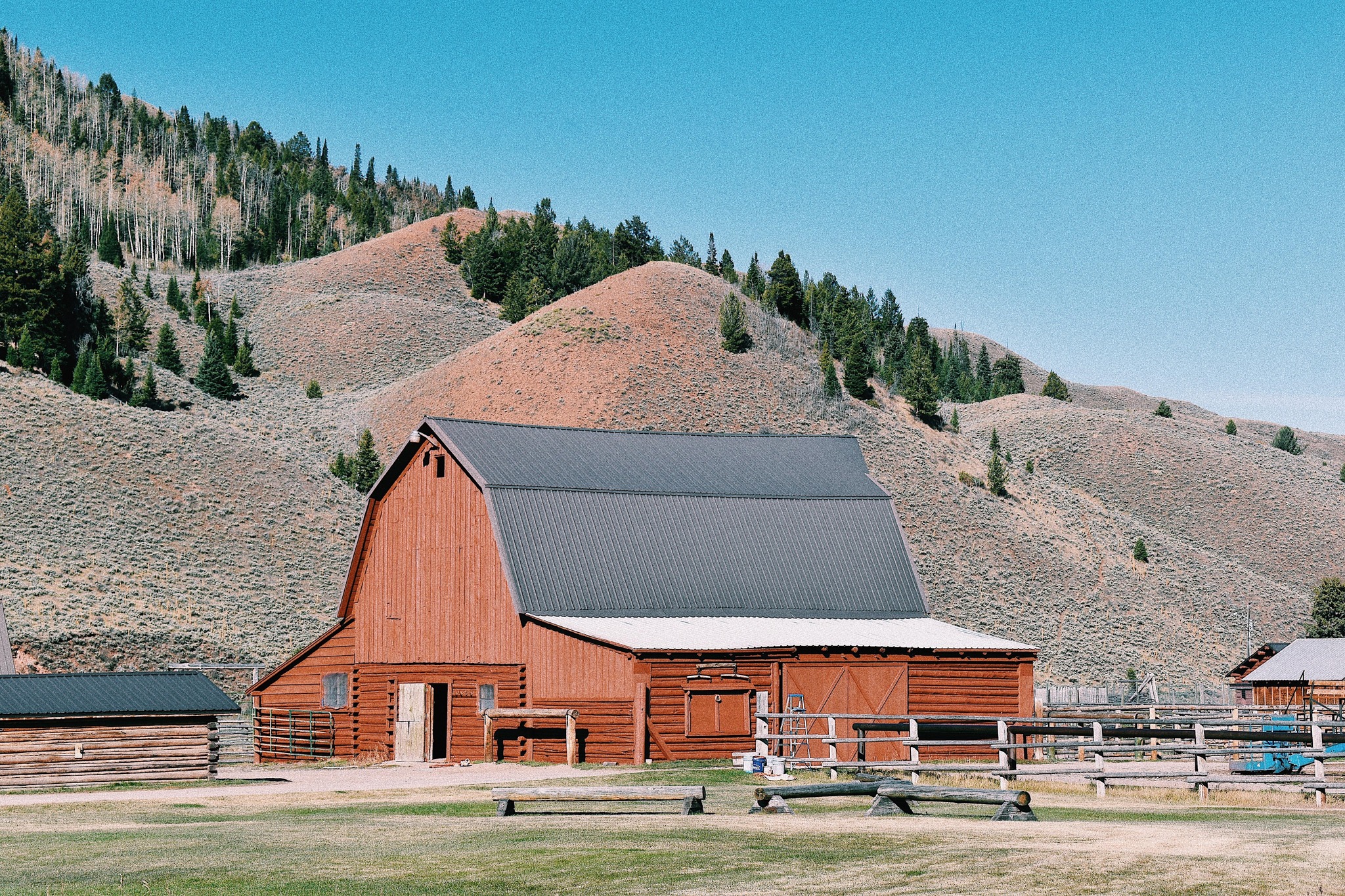 Red - At @red_rock_ranch we teach our guests how to work with cows, as ...