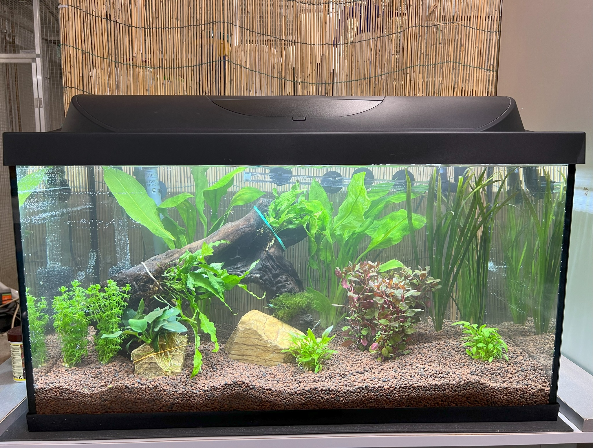 Herzlichen Dank an die Dehner Filiale Neunkirchen!😊 Die Neunkircher Filiale spendete uns neben einem Aquarium, einen Außenfilter, Bodengrund und zahlreiche Wasserpflanzen.💦 Das Aquarium ist ein Projek