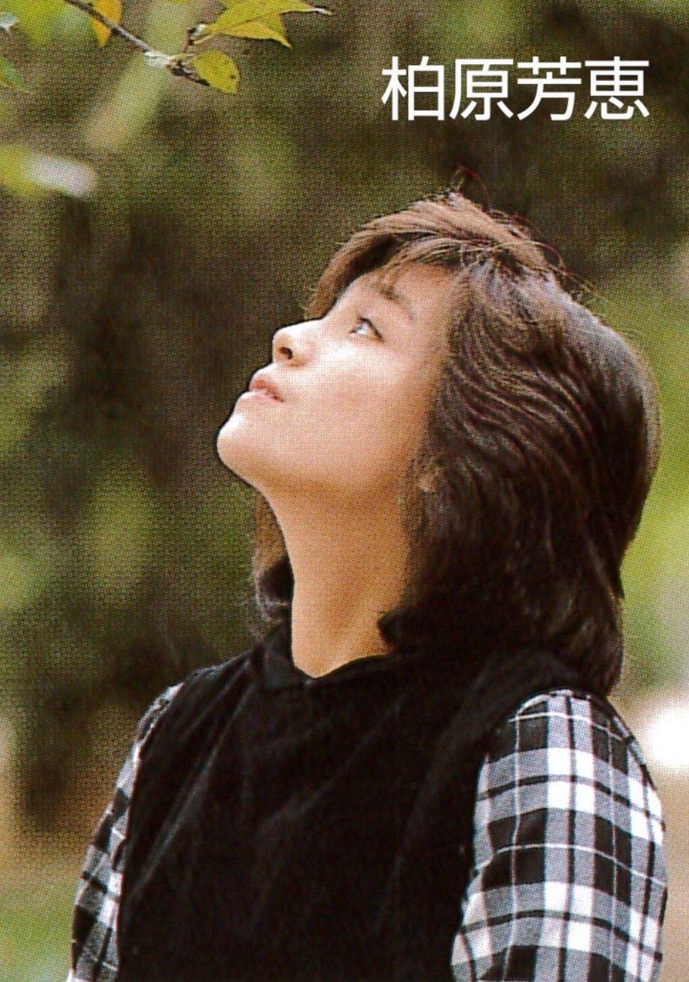 柏原 芳恵 昔