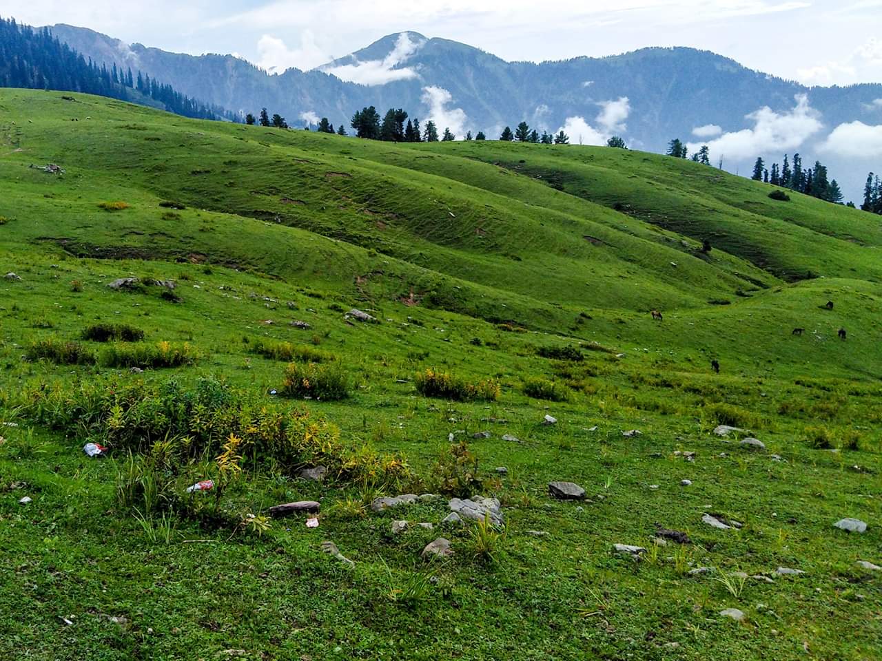 All Pakistan Travel Guide... - All Pakistan Travel Guide