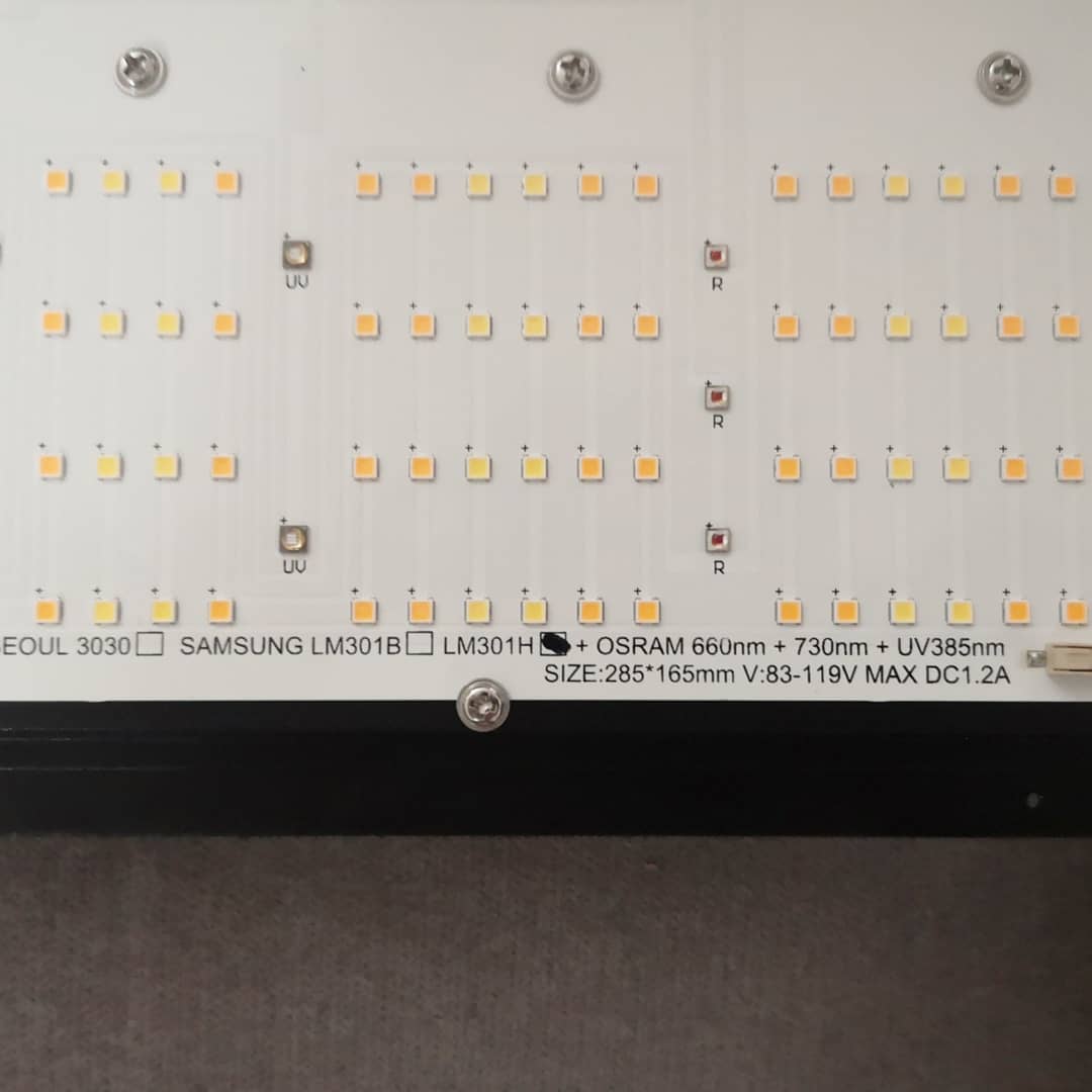 MK Leds