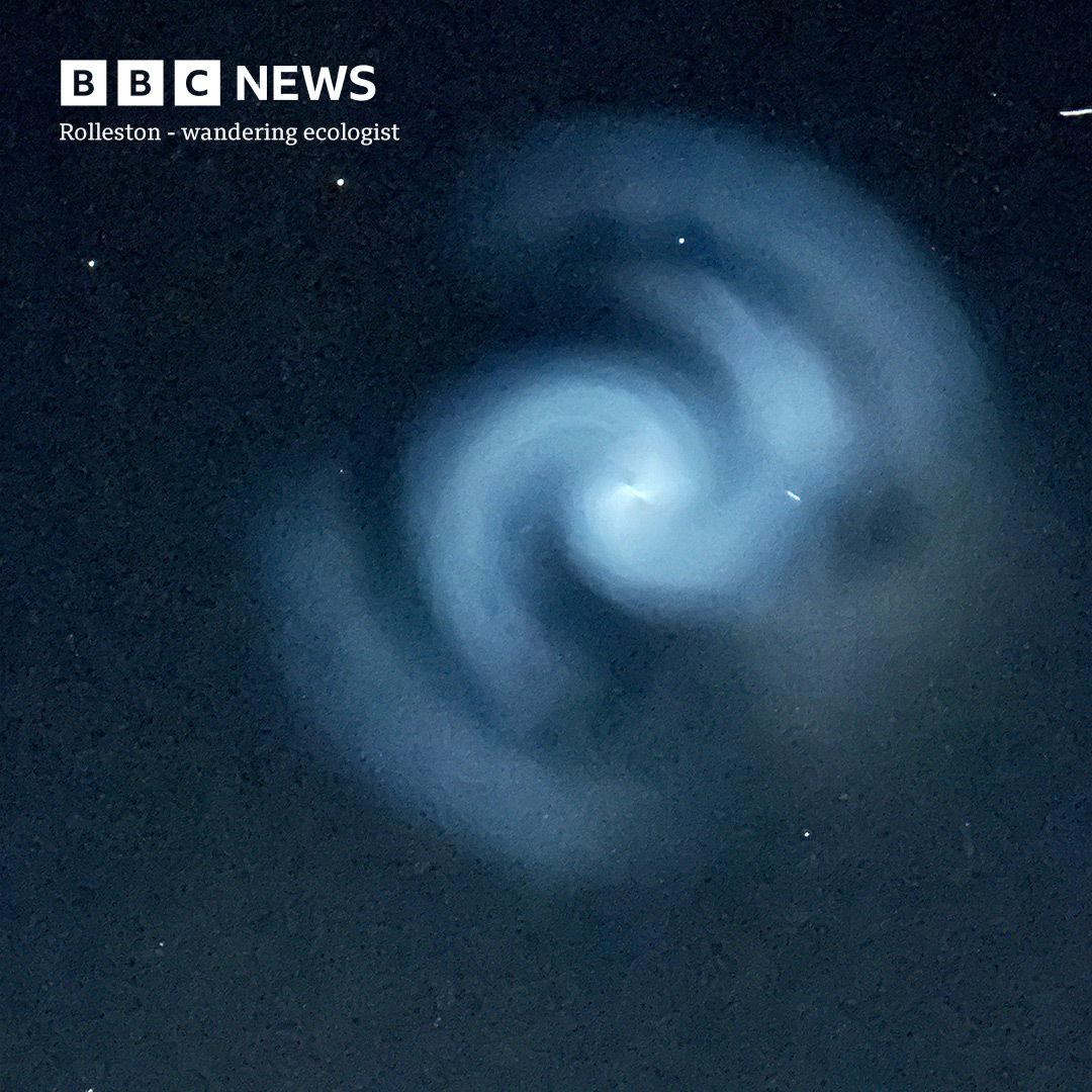 These pics are out of this world 🌌🚀 It is believed the light