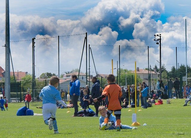 ABFC- Aviron... - ABFC- Aviron Bayonnais Football Club
