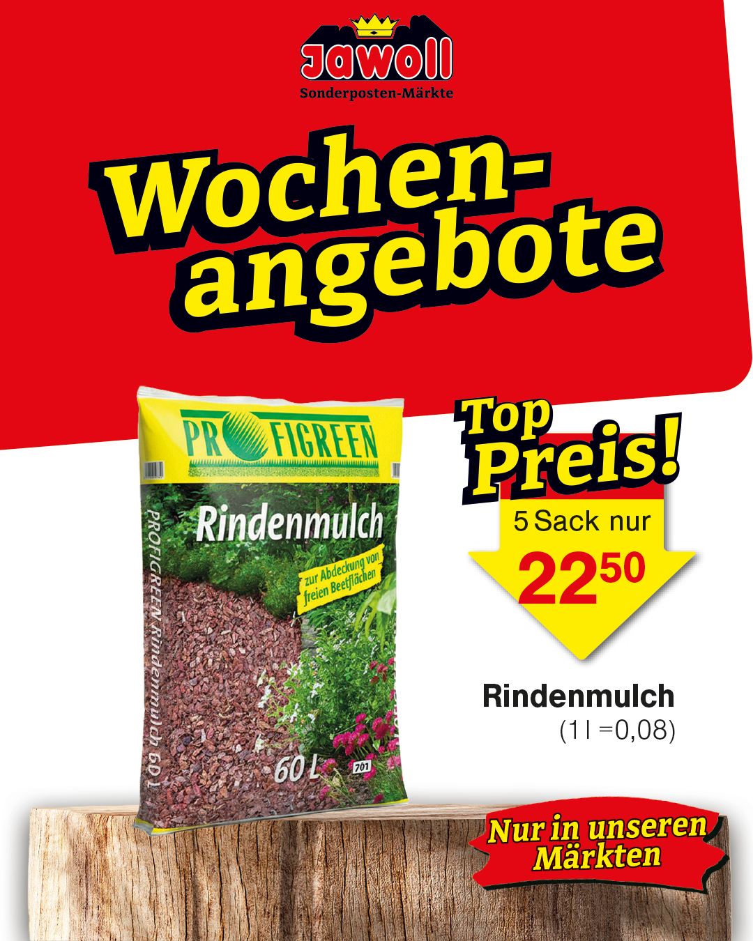 🍂 Zeit für den Herbst! 🧡 Ob praktische Lösungen für mehr Ordnung, farbenfrohe Akzente für draußen oder die ersten schaurig-schönen Ideen für Halloween – bei uns warten jede Menge Highlights auf dich