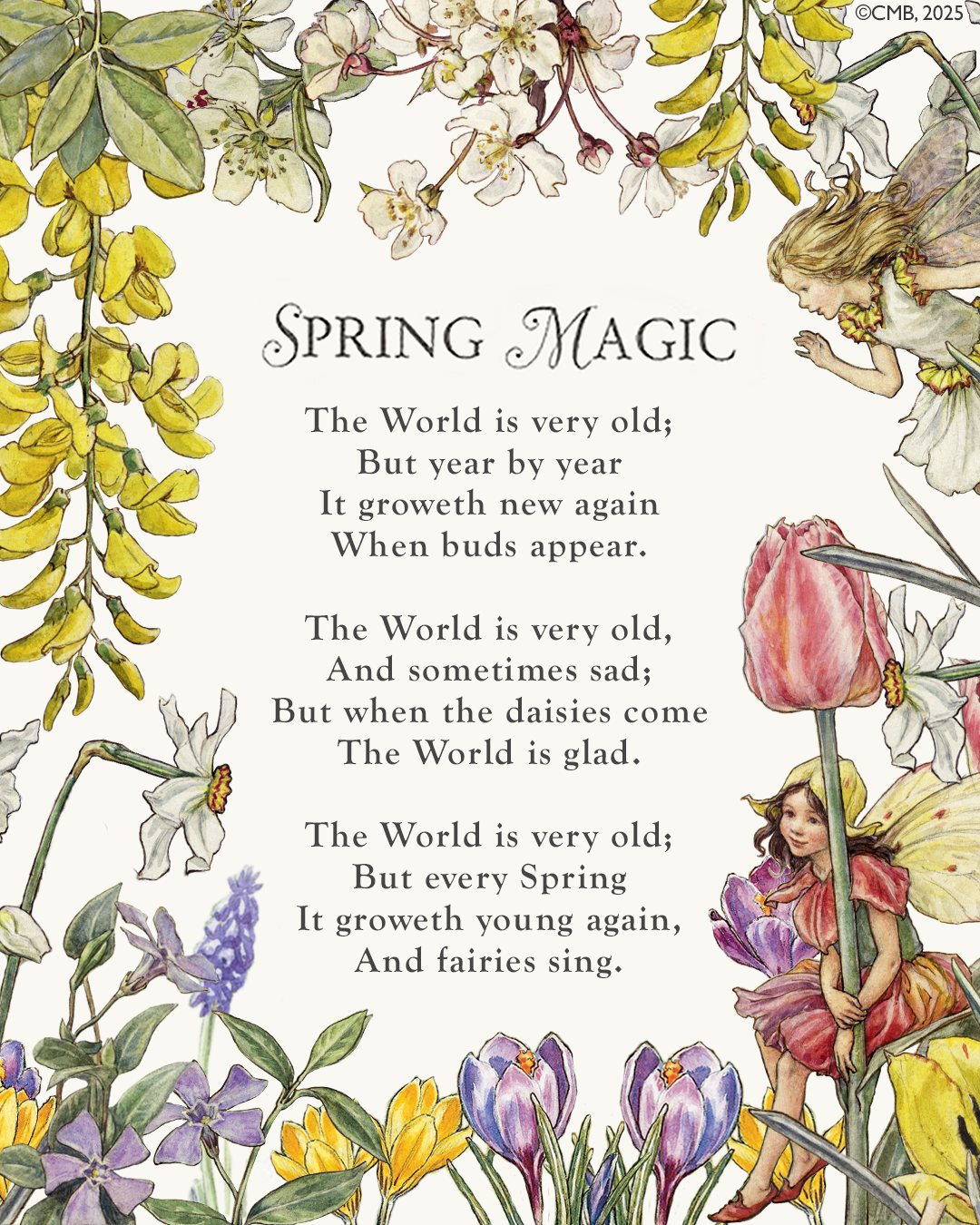 Flower - 🌸🌼 Spring has finally arrived! 🌼🌸 From now the days will ...