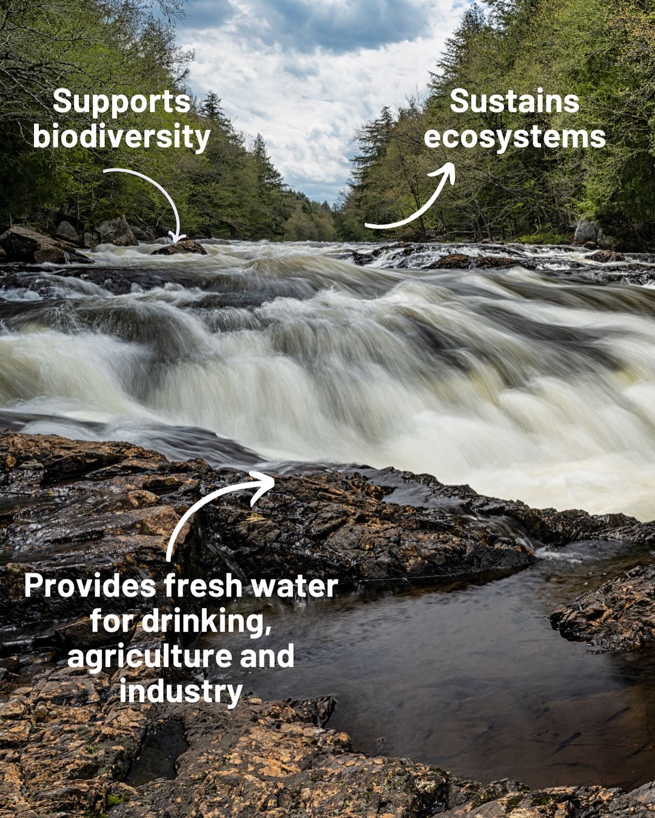 The Nature Conservancy in New York - It’s International Day of Action ...