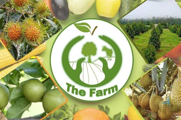 The Farm