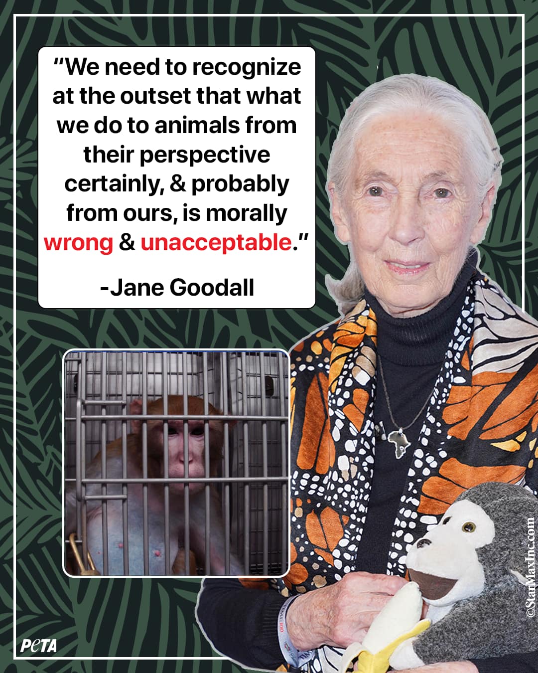 Experi... - PETA (People for the Ethical Treatment of Animals) | Facebook