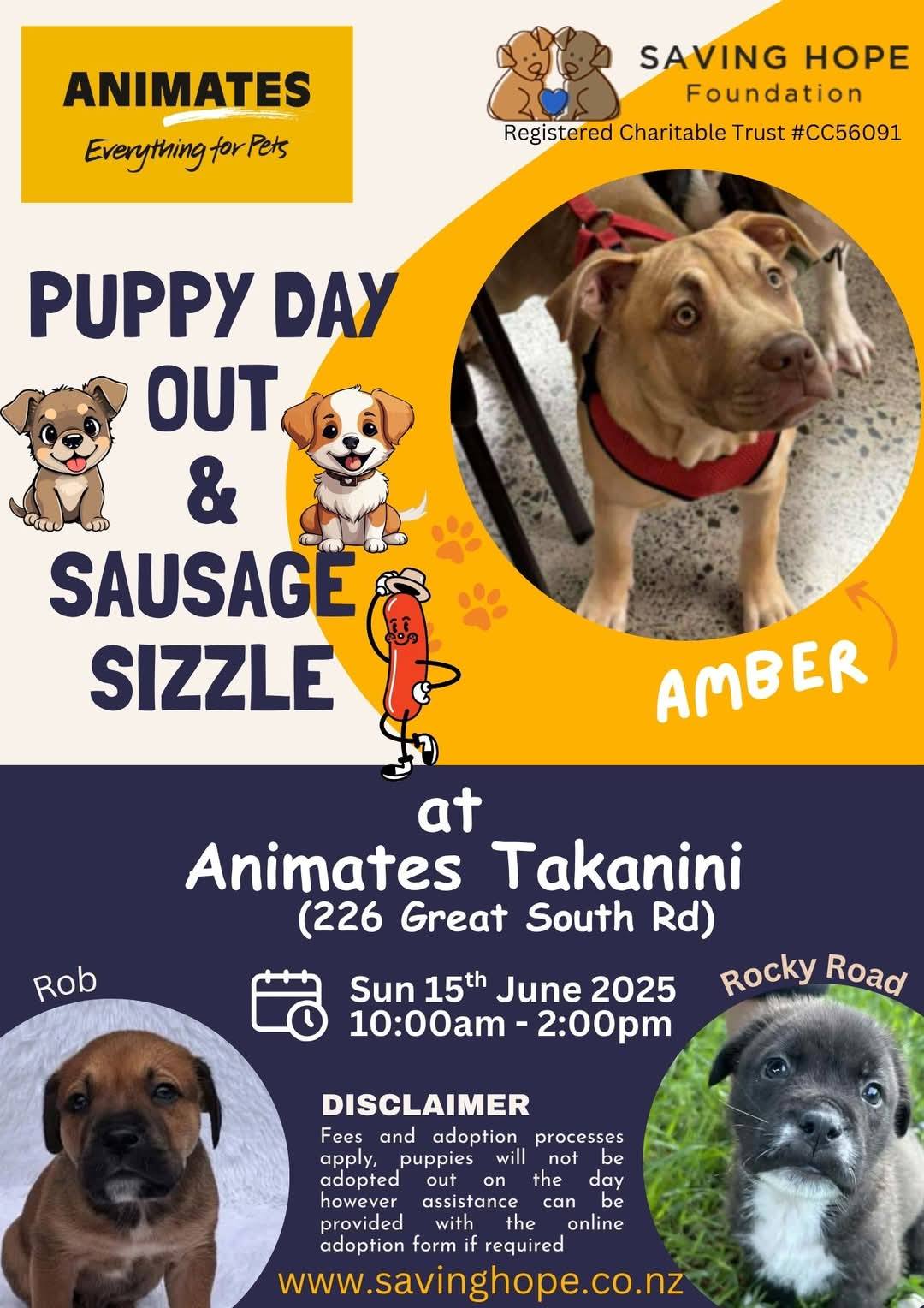 🐾 Puppy Adoption Day – Animates... - Saving Hope Foundation | Facebook