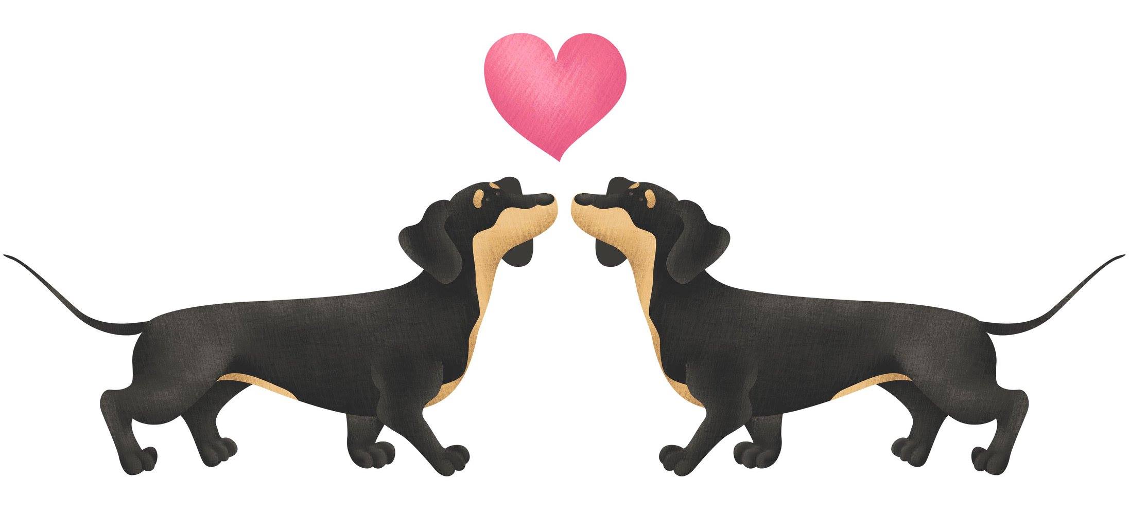 Happy 1st Wedding Anniversary... - Hannah Weeks Illustration