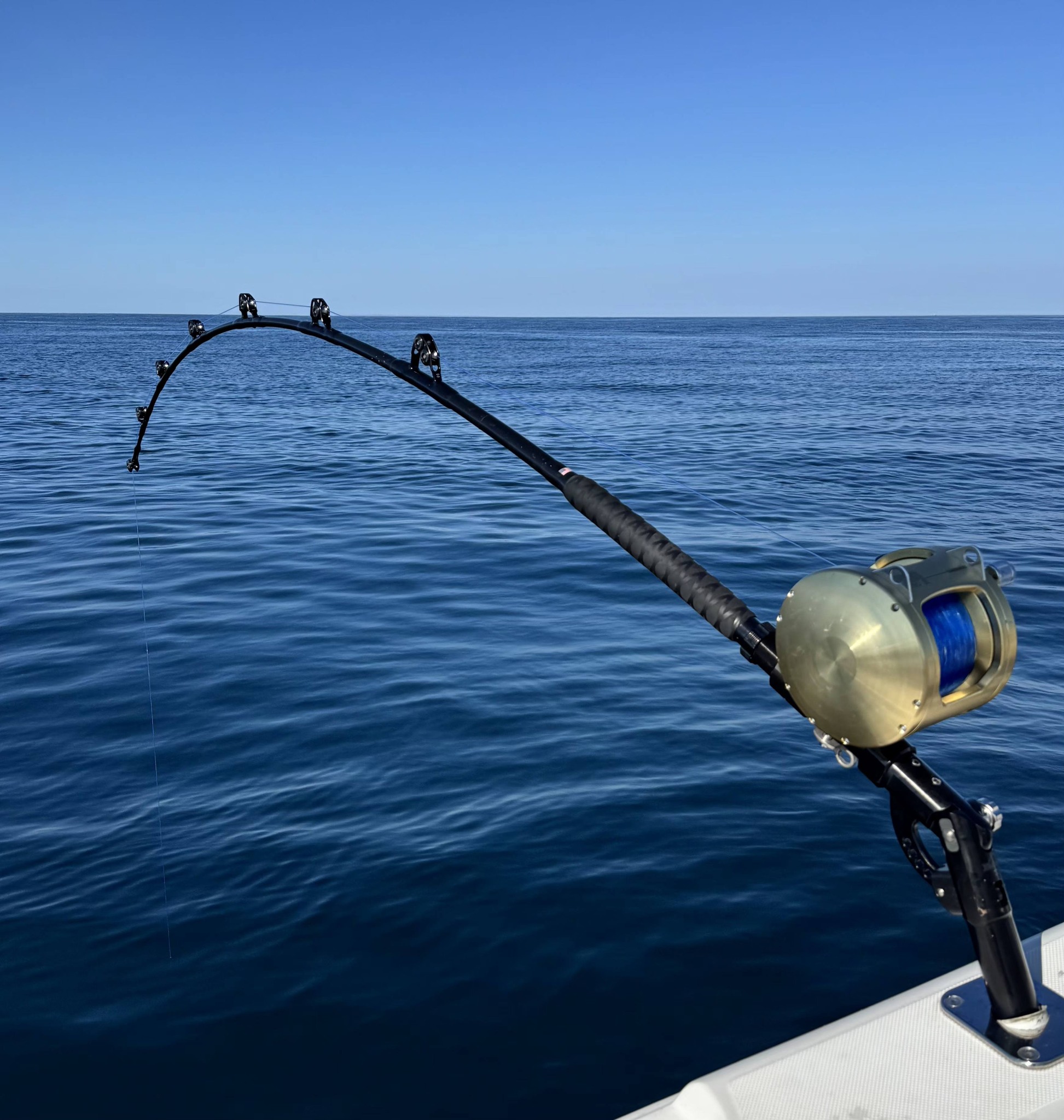 deep sea fishing pole lighter Bait Cast BBQ (16ct Display) the coolest gift for any grill master or outdoorsman Is a medium light rod