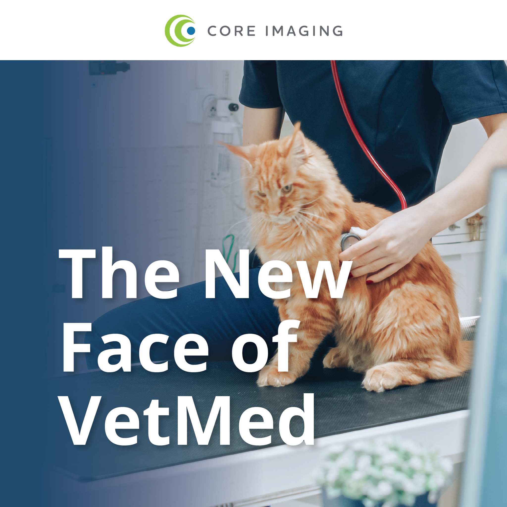 Core Imaging | Grand Rapids MI