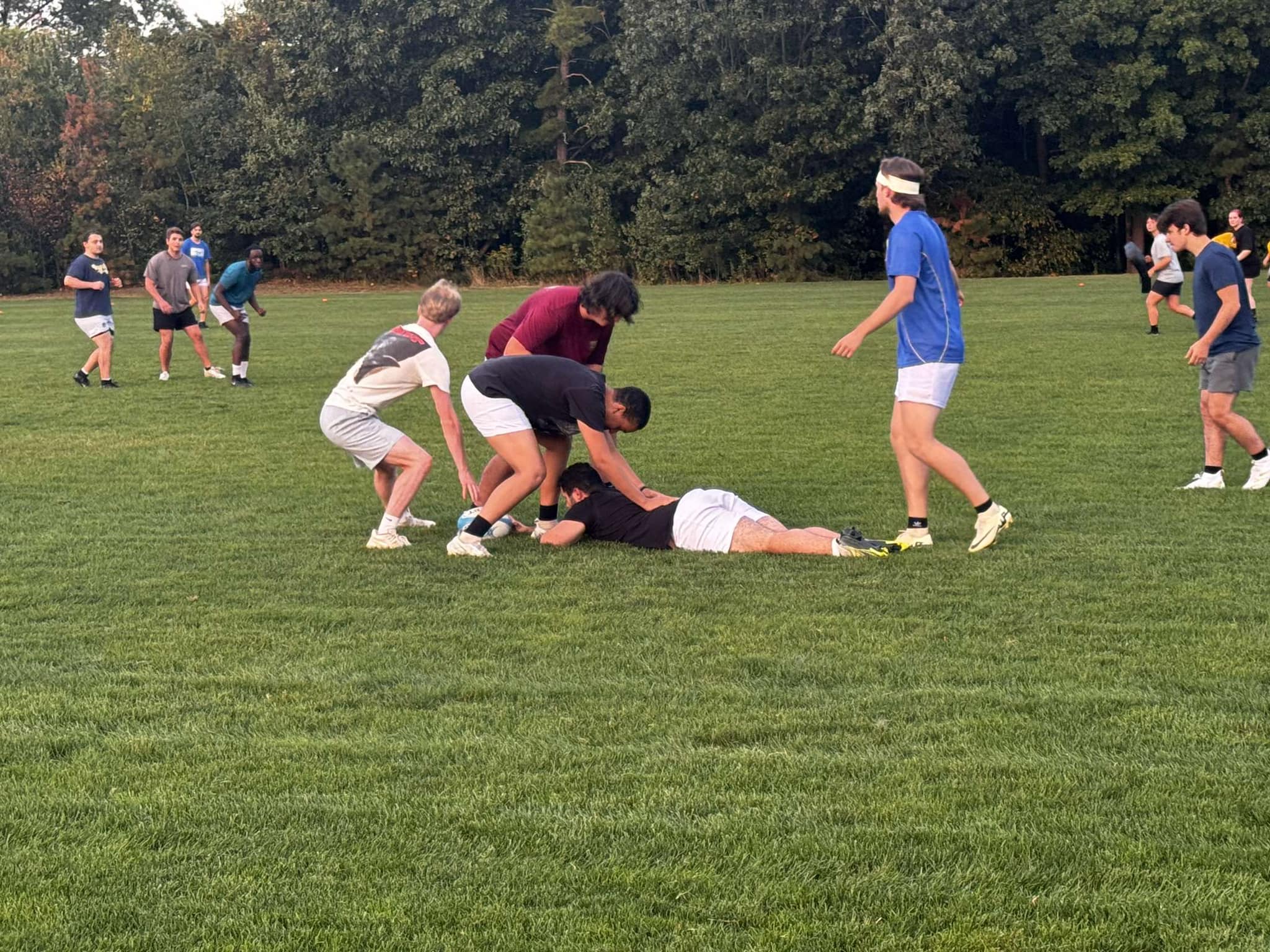 Western New England University Rugby