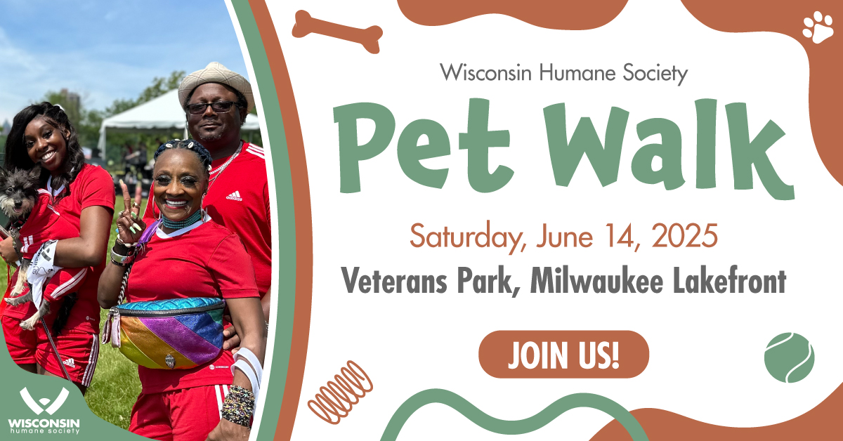 Live Like Roo Foundation | Arlington Heights IL