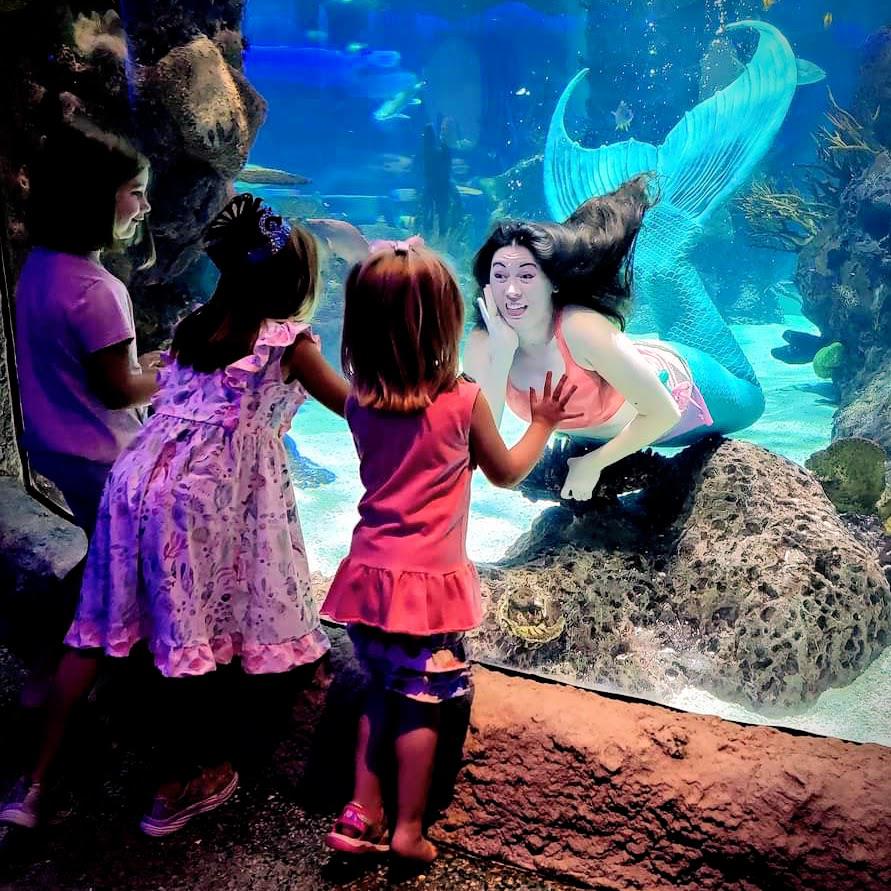 Aquarium - Shellabrate International Mermaid Day on March 28 with ...