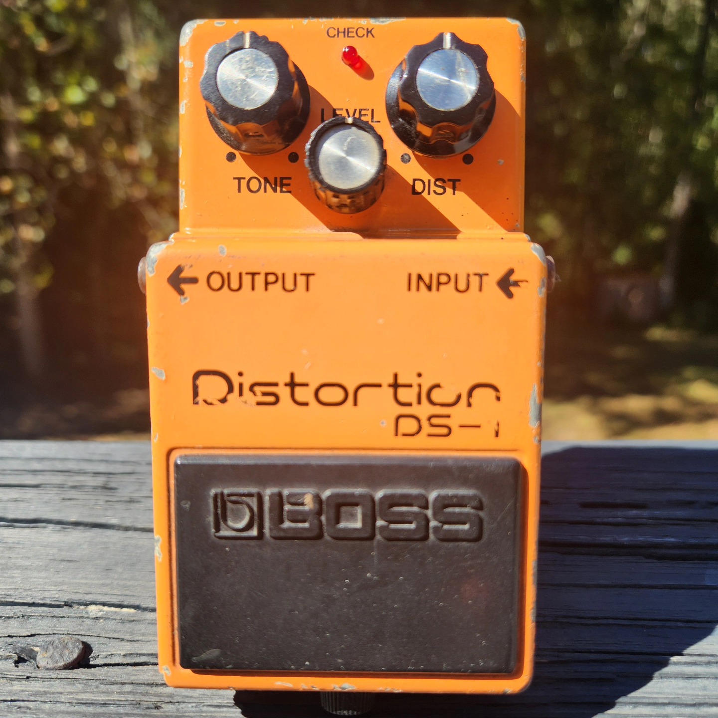 What is the value and rarity of a 1981 Boss DS-1 distortion pedal