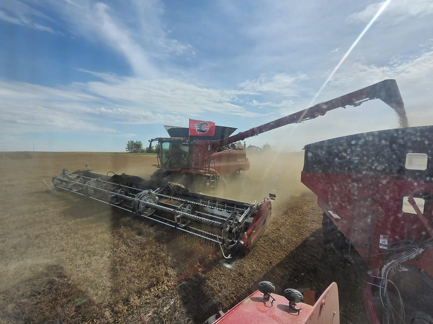 Lowe Ranches Inc. | Nanton AB