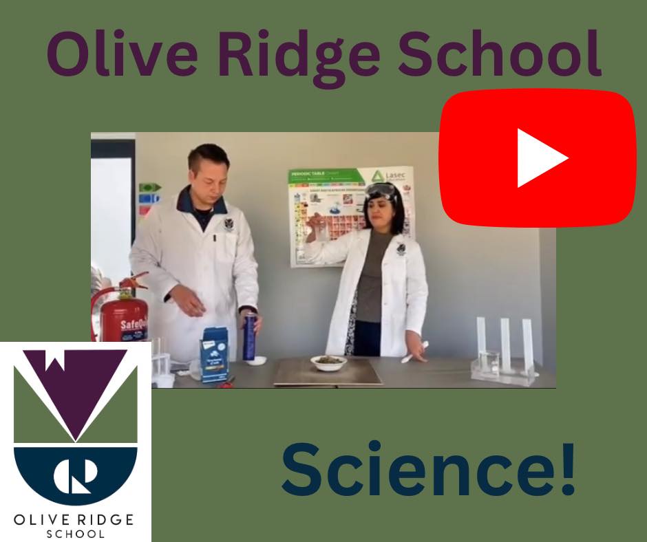 Olive - Our first YouTube lesson in science is on our YouTube page!! 📌🎬 ...